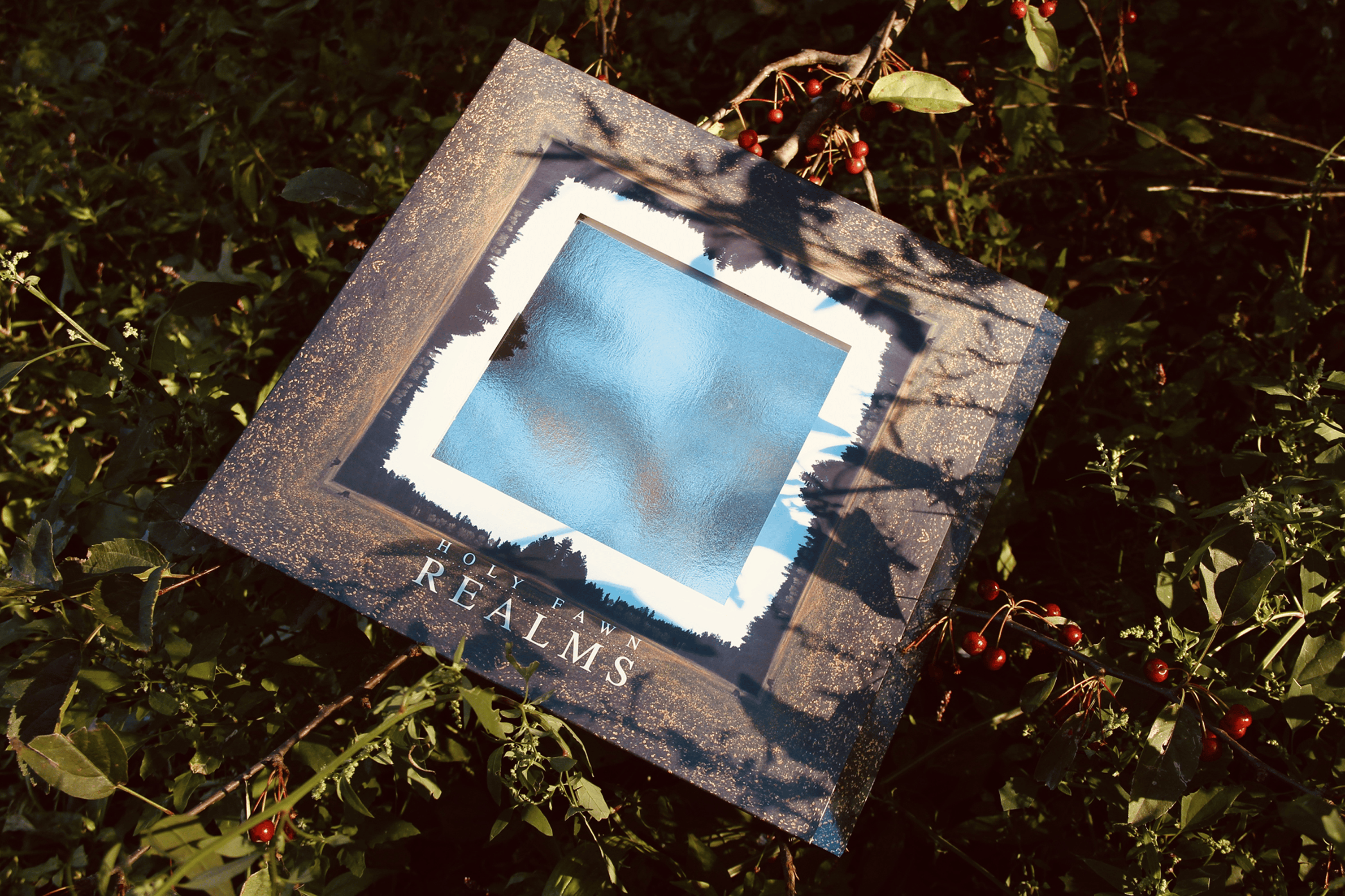 Realms_1