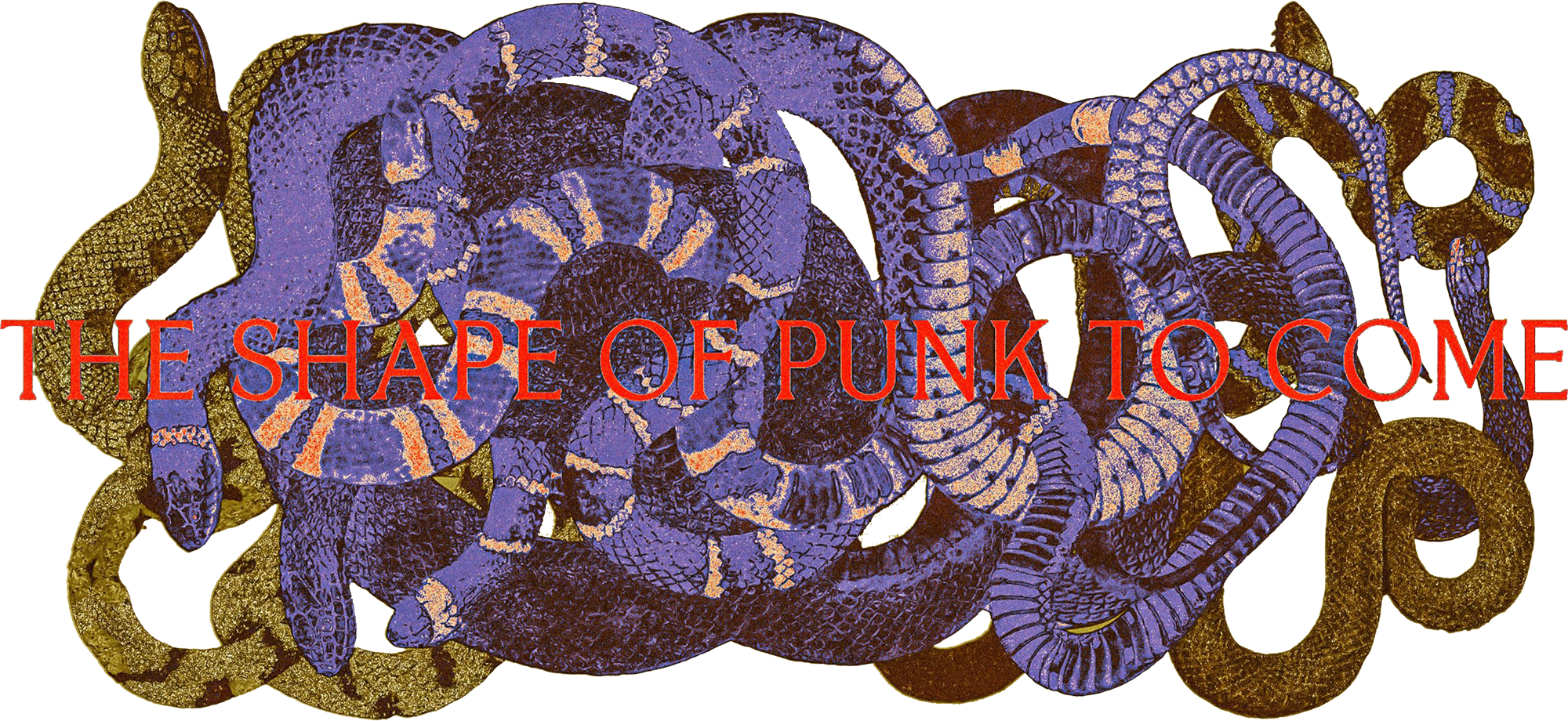 Refused_snakes_cutout-2