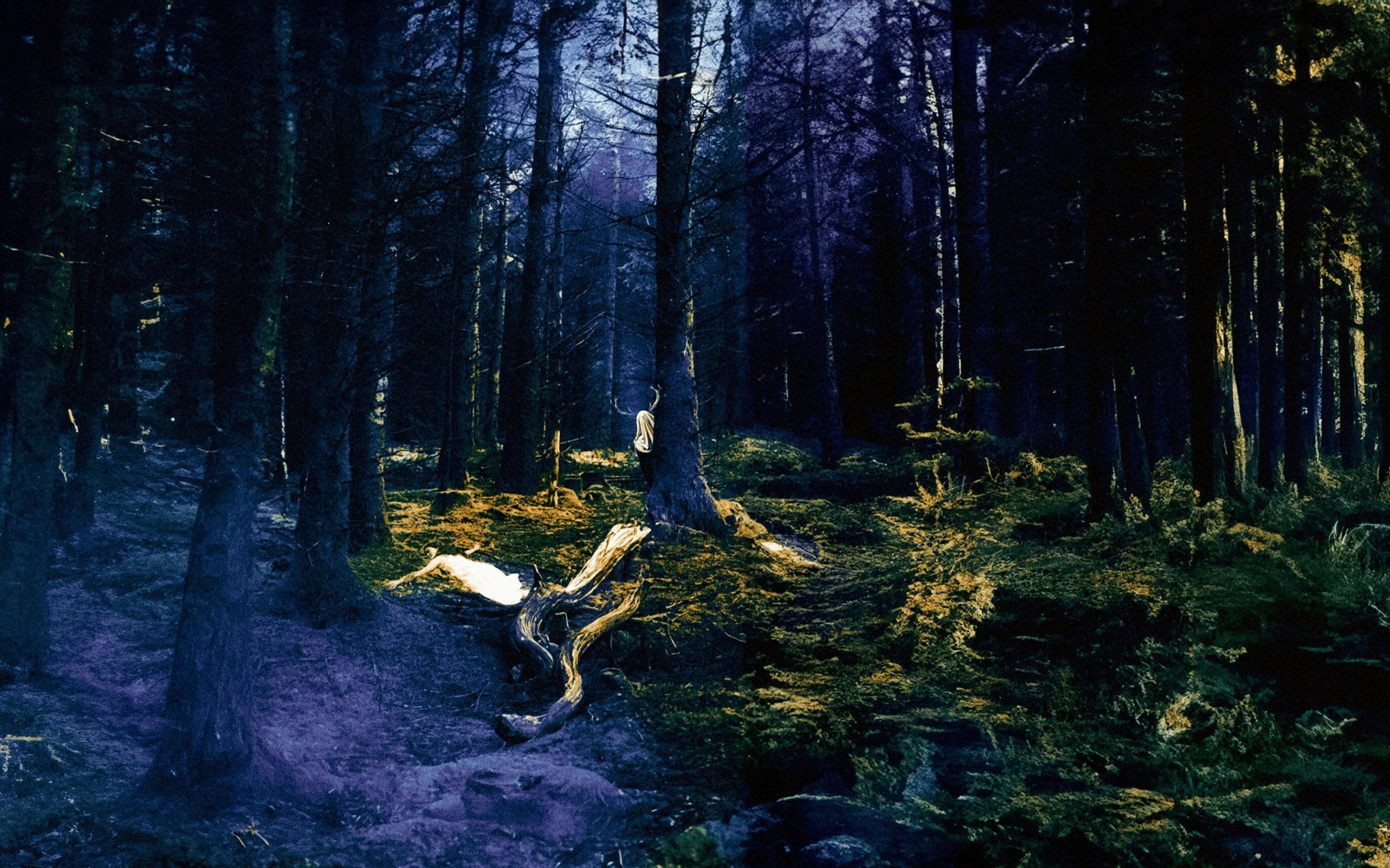 Holy Fawn — Visual Direction
