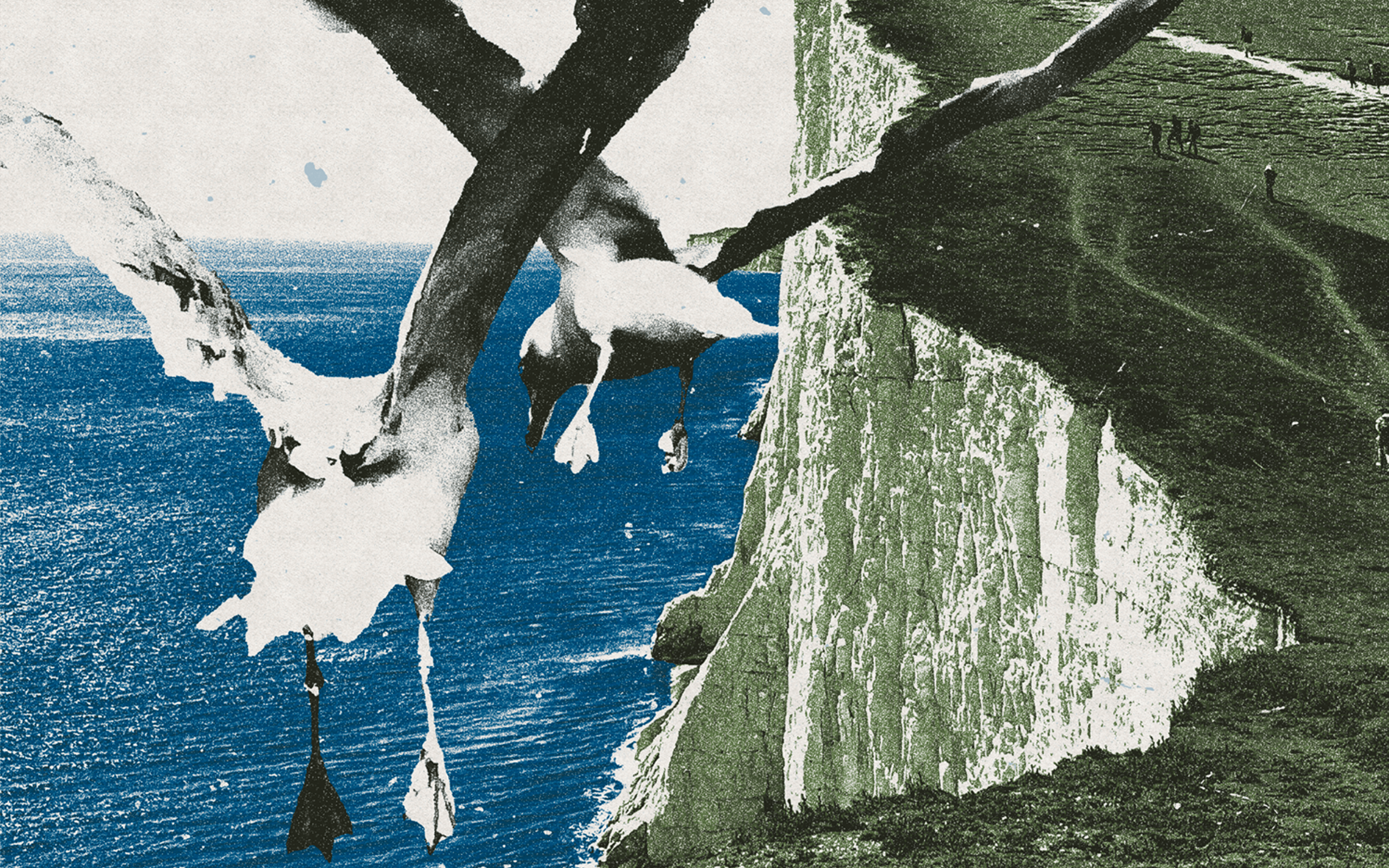 Systems Nominal — Wings Outstretched, Zine