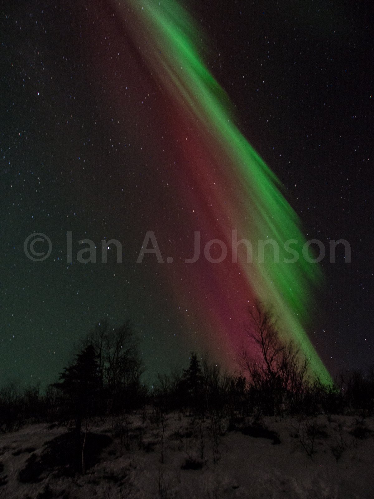 The watermelon aurora.