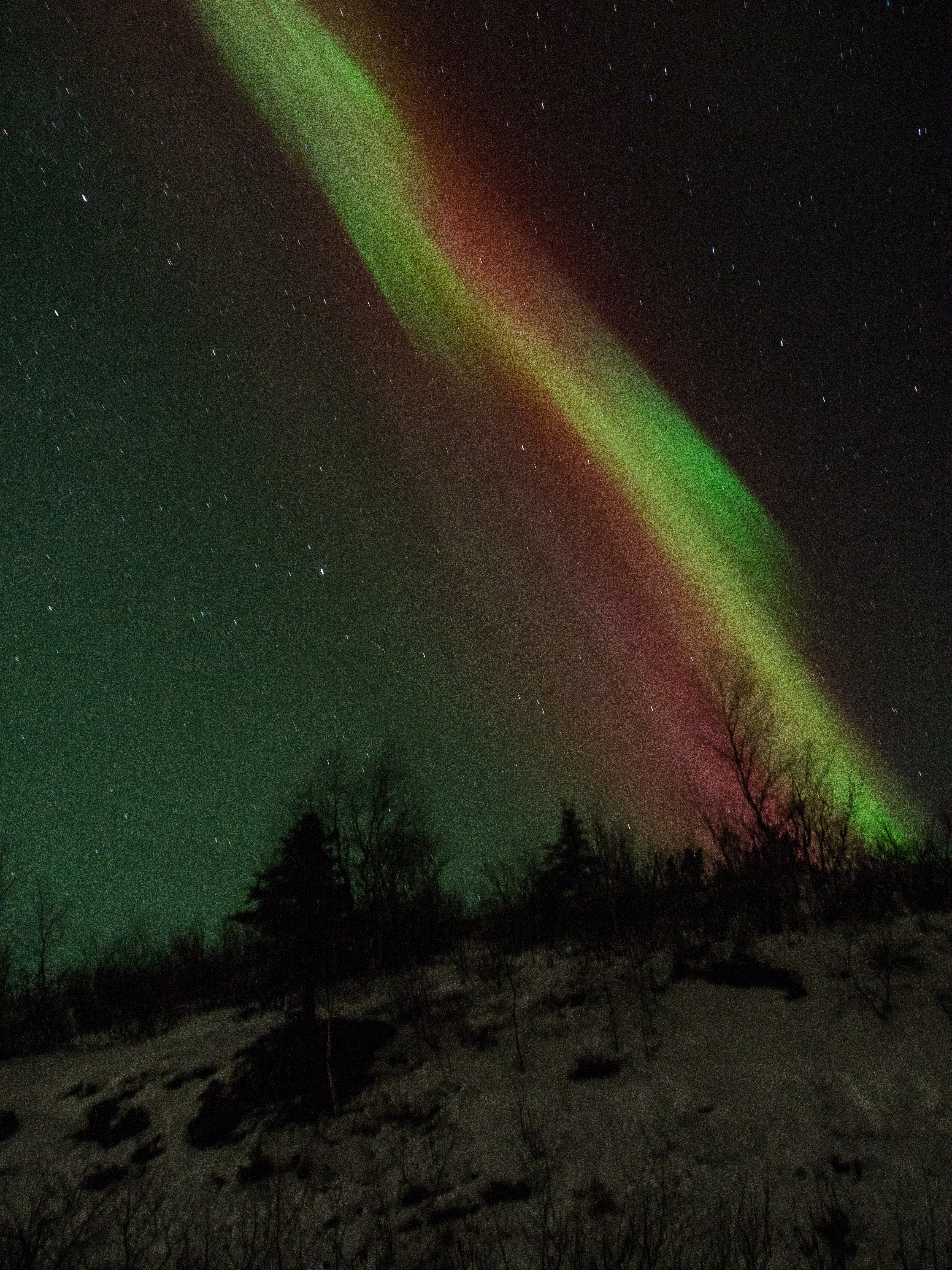 The mixing of the reds and the greens was fascinating and differed from the distinctly separated watermelon aurora