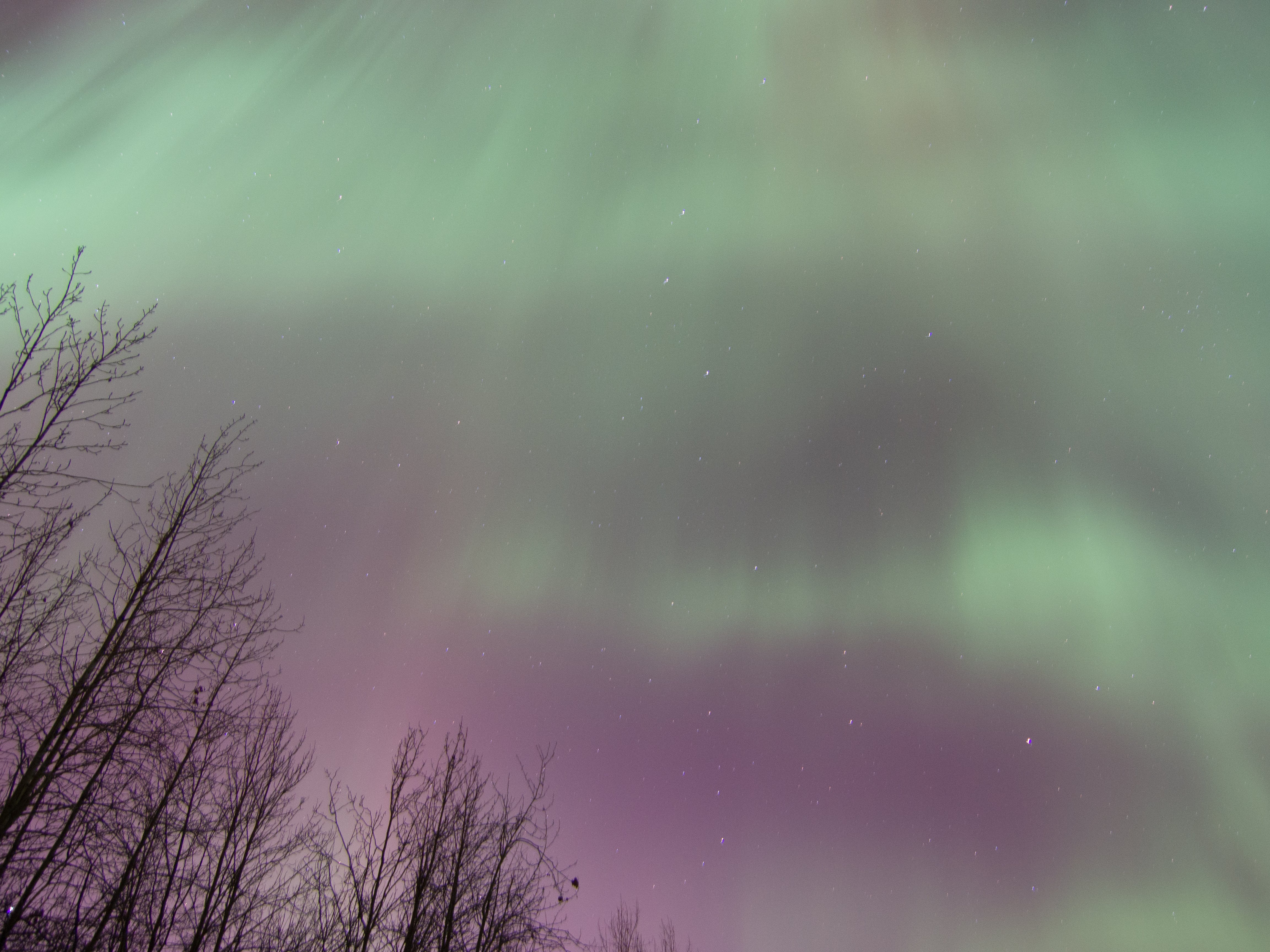 Looking Straight up at the Aurora over the Tanana River kP 5, 02/28/14