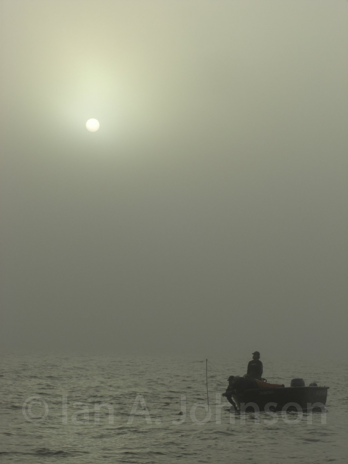 Scoter trapping keeps you on the water a lot waiting for things to happen. During a misty morning I captured this shot.