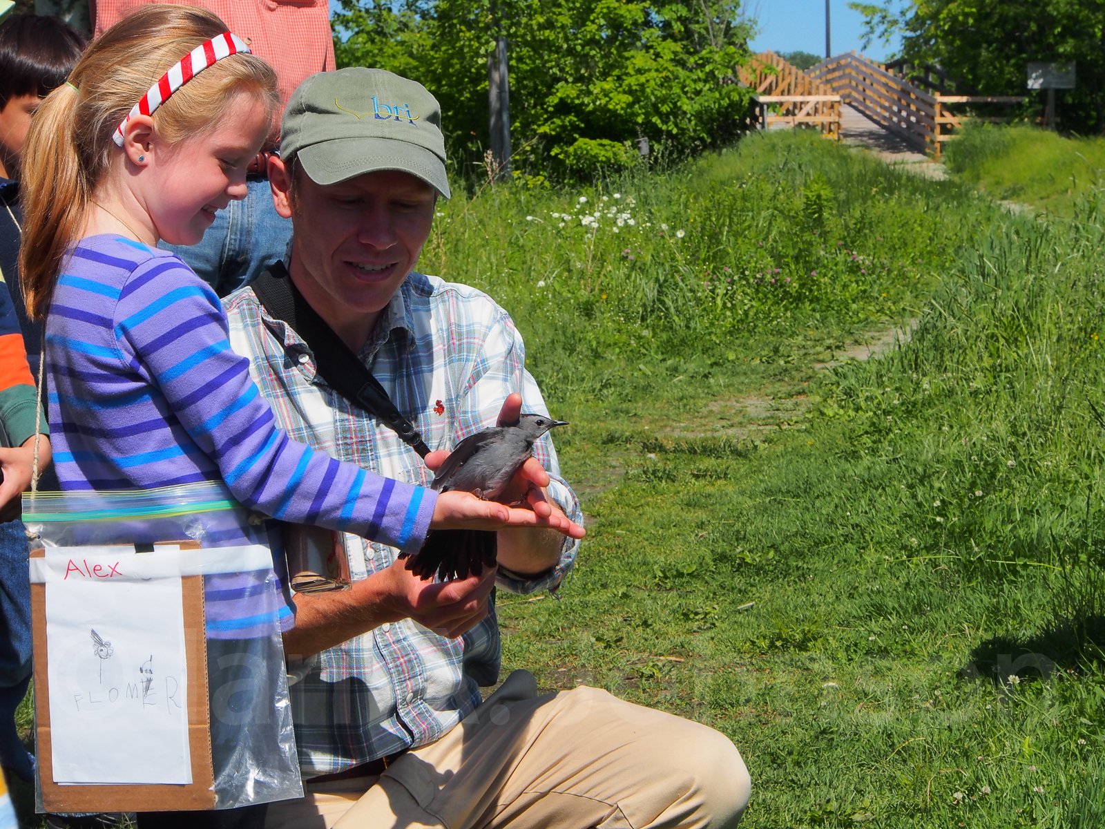 Part of science is reaching out to kids and giving them the chance to do things they never would. Here, a girl gets to release a Gray Catbird at Riverpoint Conservation Area, West Falmouth, Maine
