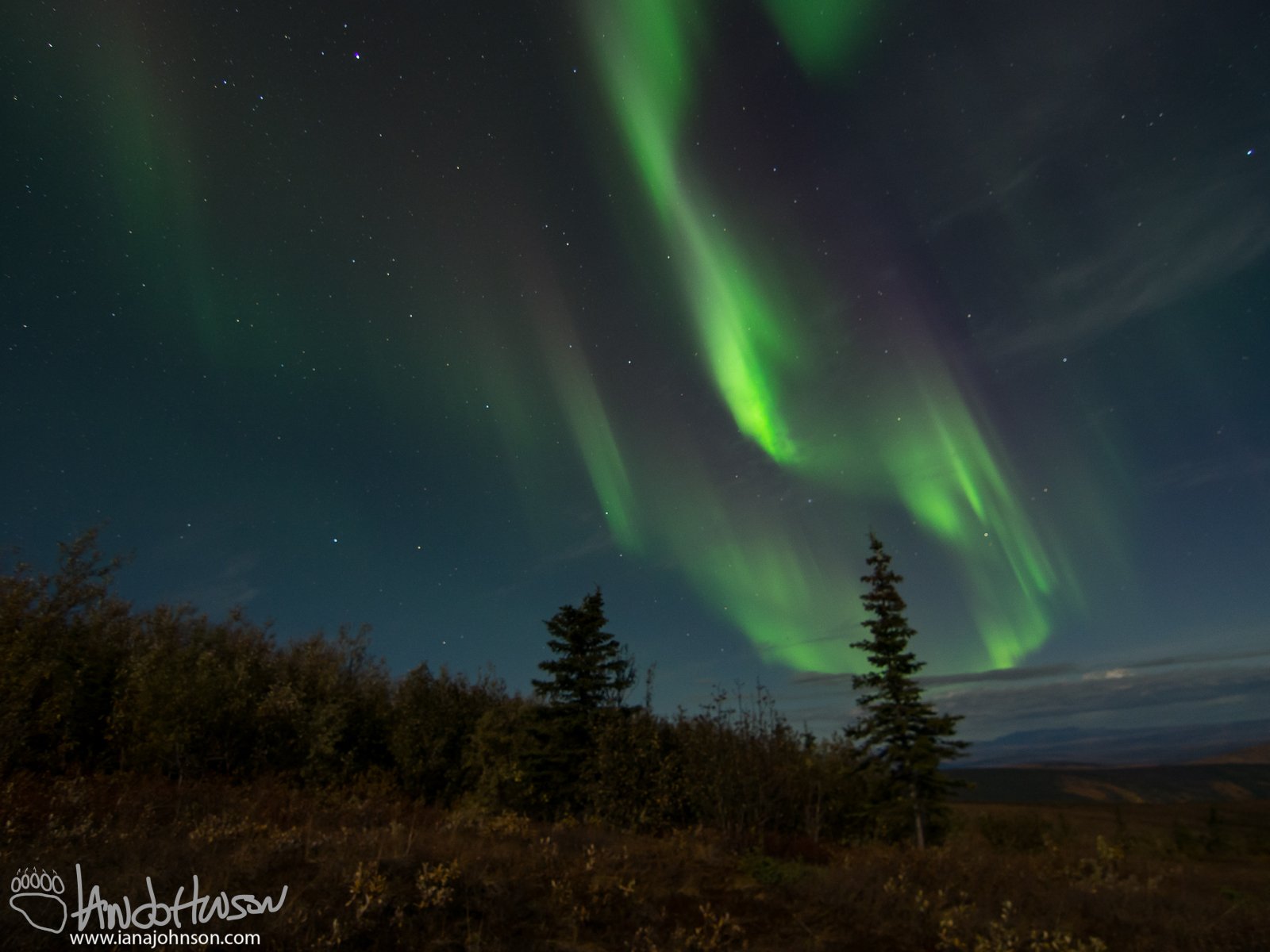 Aurora Borealis - Murphy Dome, Alaska