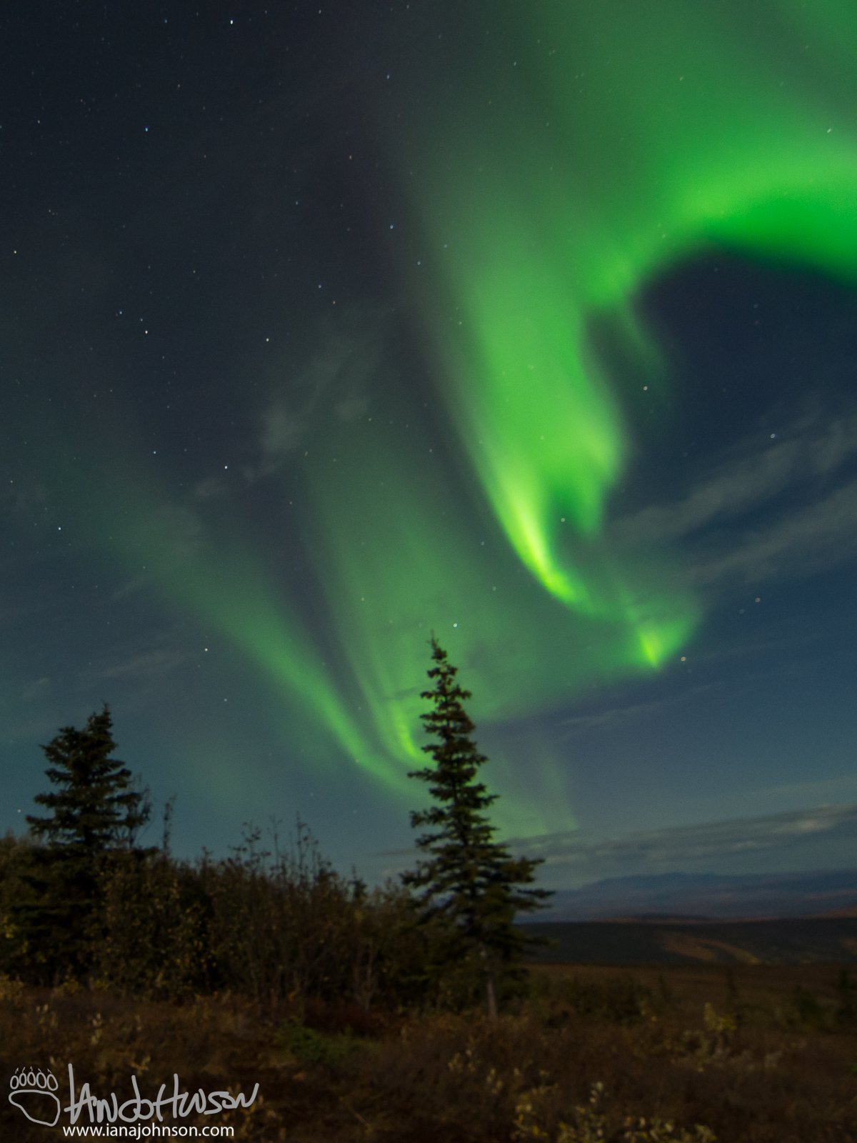 Aurora Borealis - Murphy Dome, Alaska