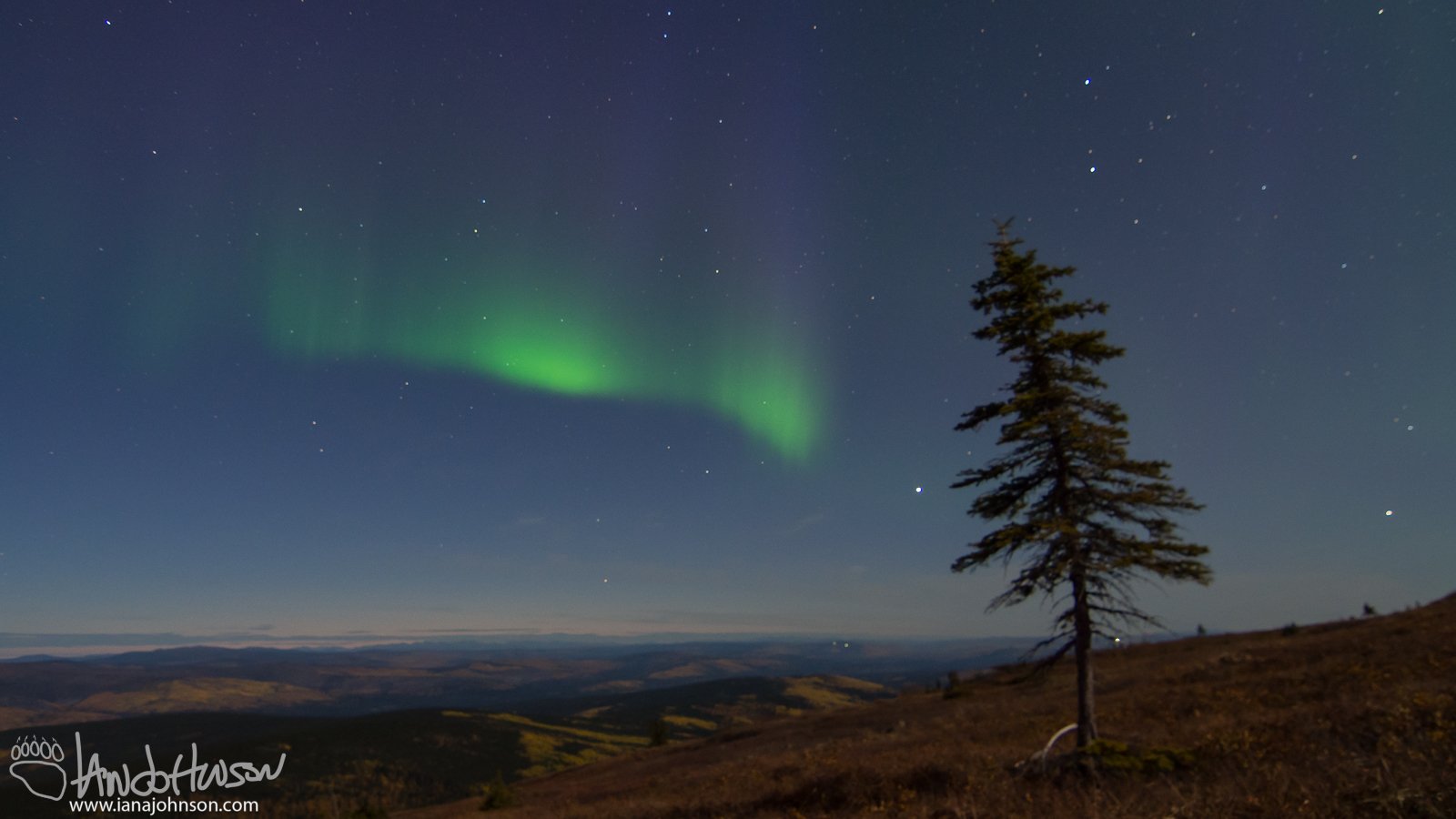 Aurora Blues as dawn approaches