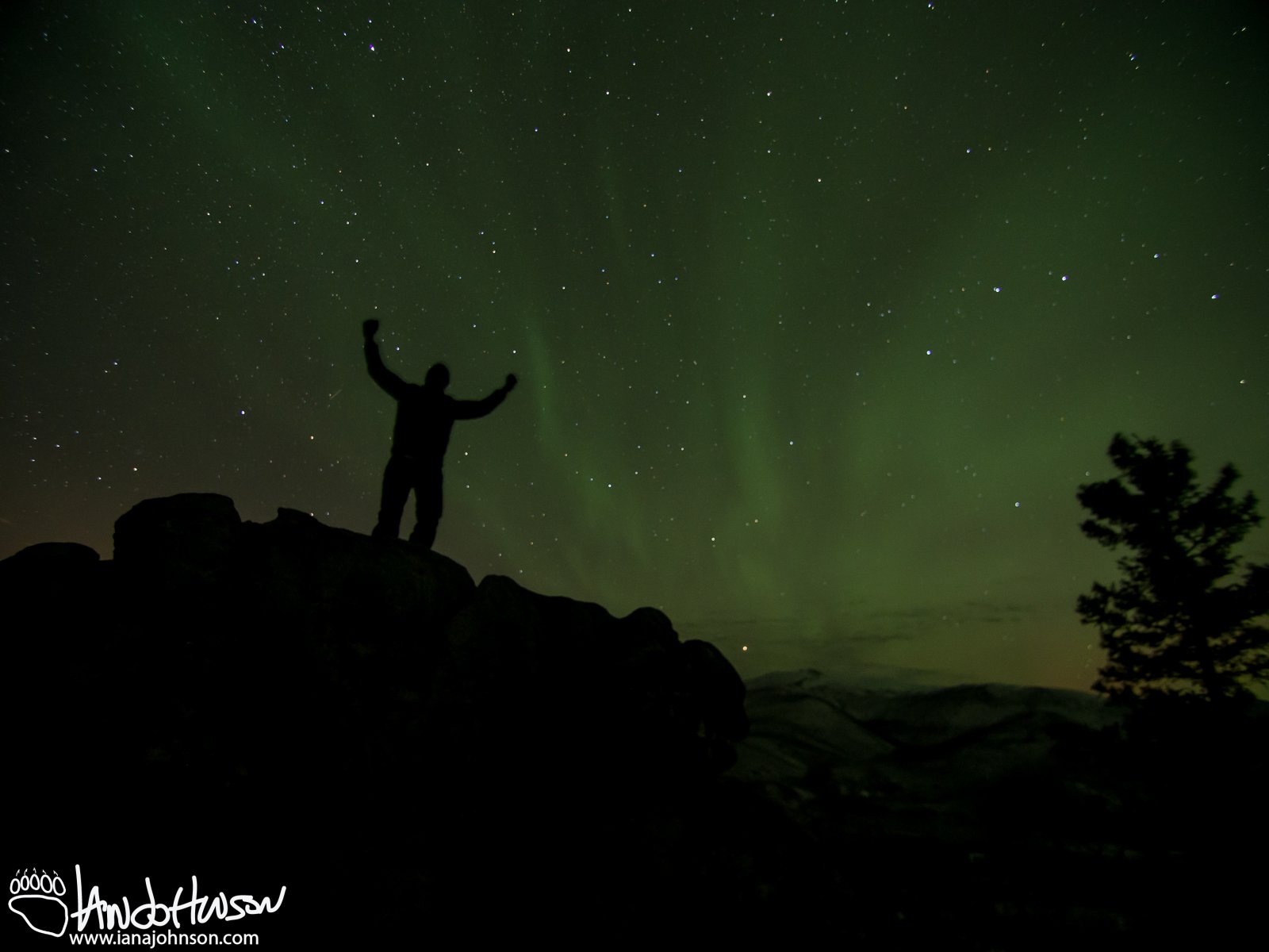 An Aurora selfie. Silhouettes are great!