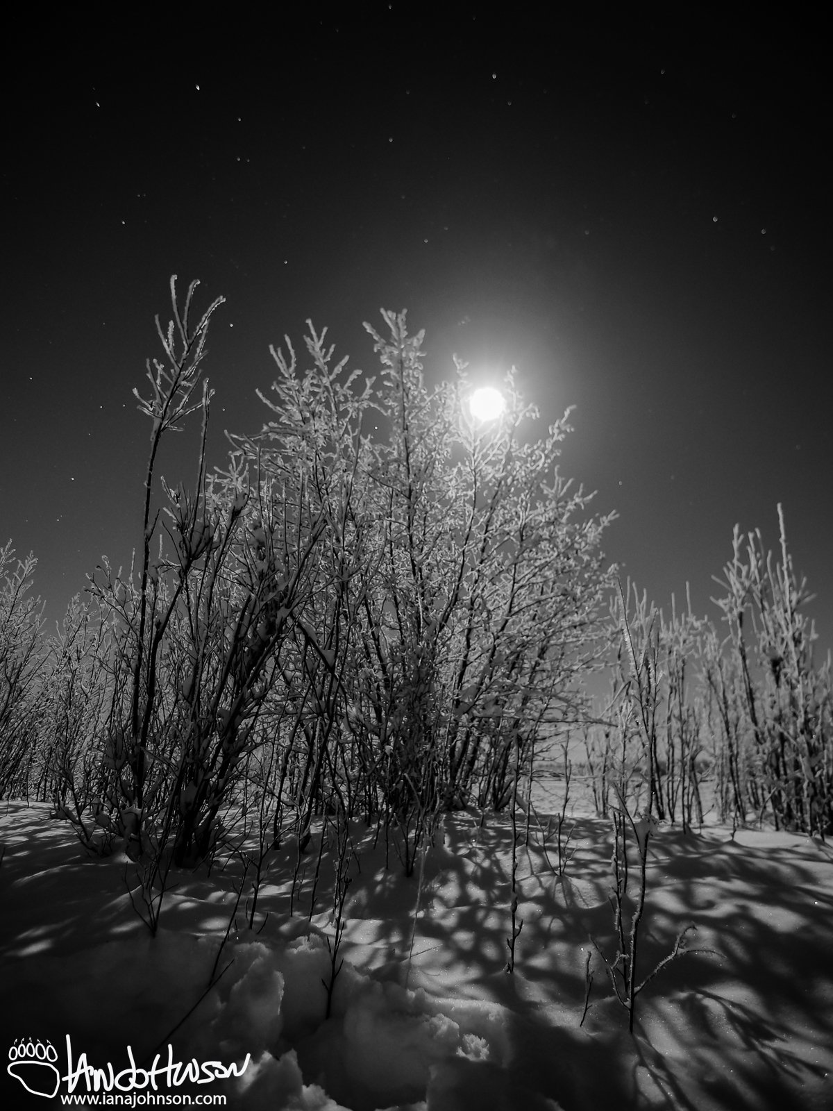 Full Moon 2 Black and White