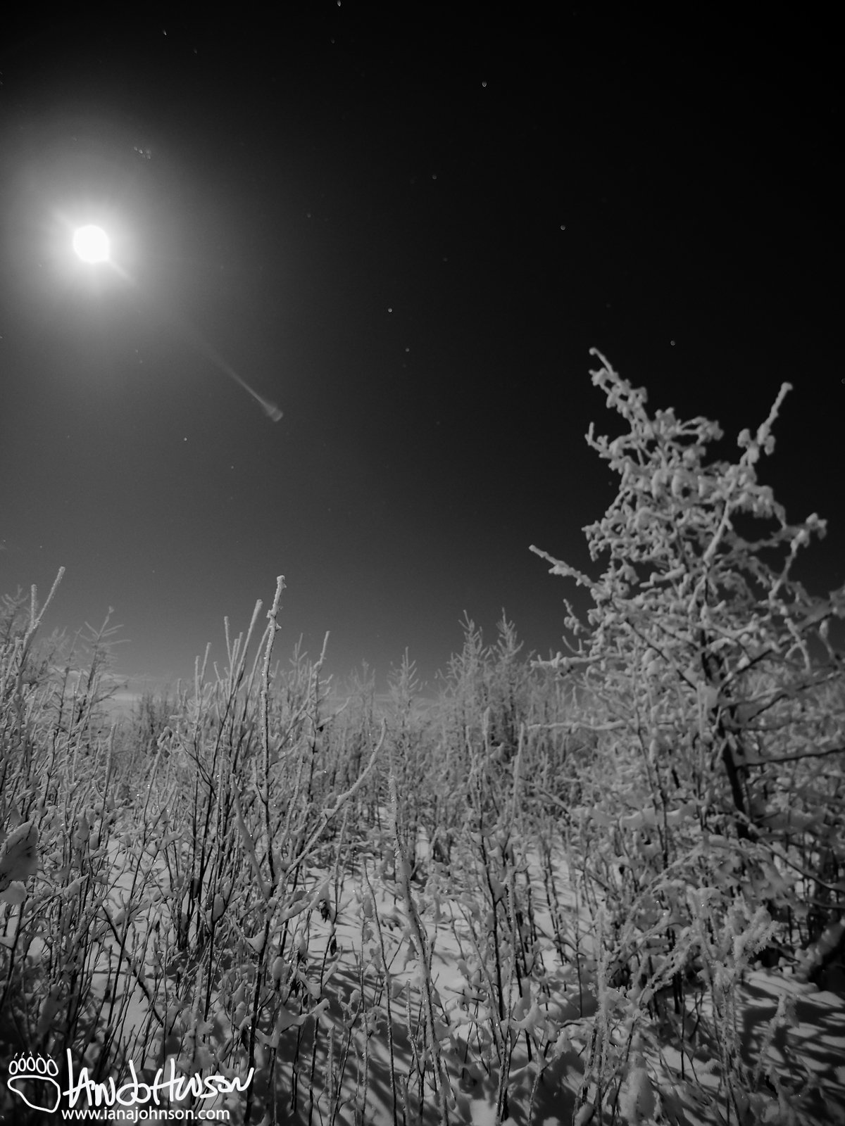 Full Moon 1 Black and White
