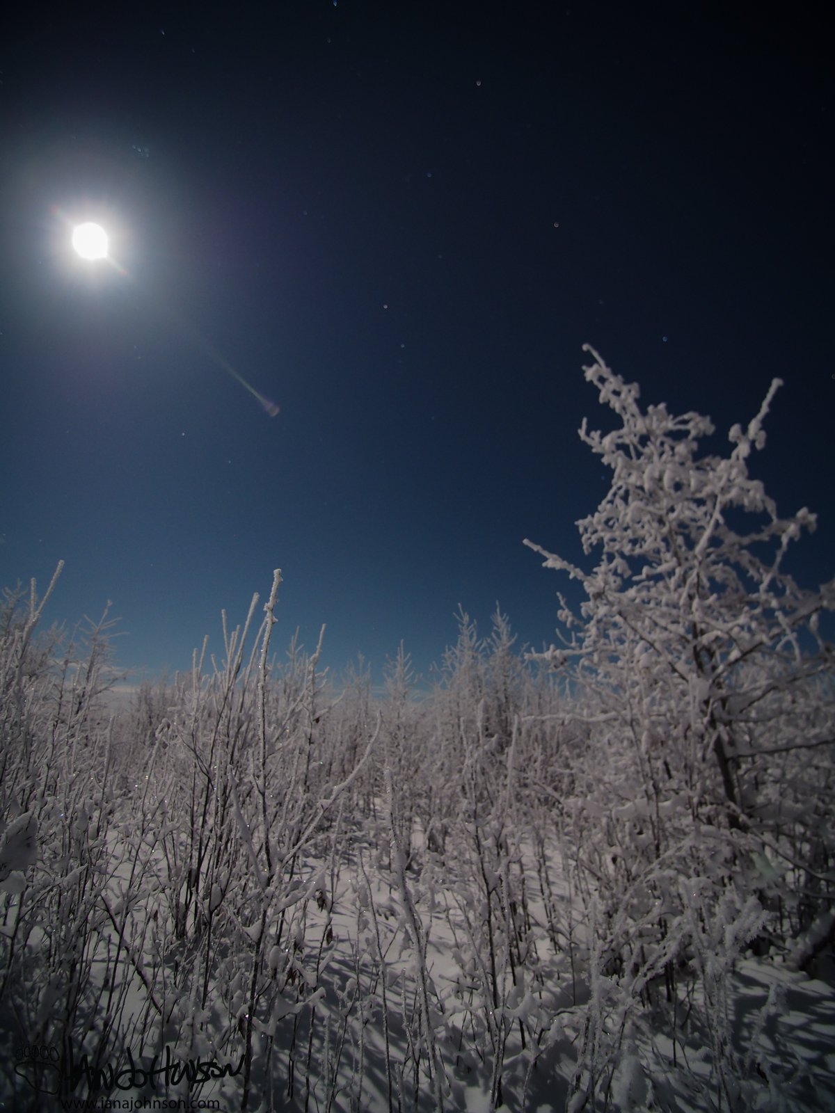 Full Moon 1 Color