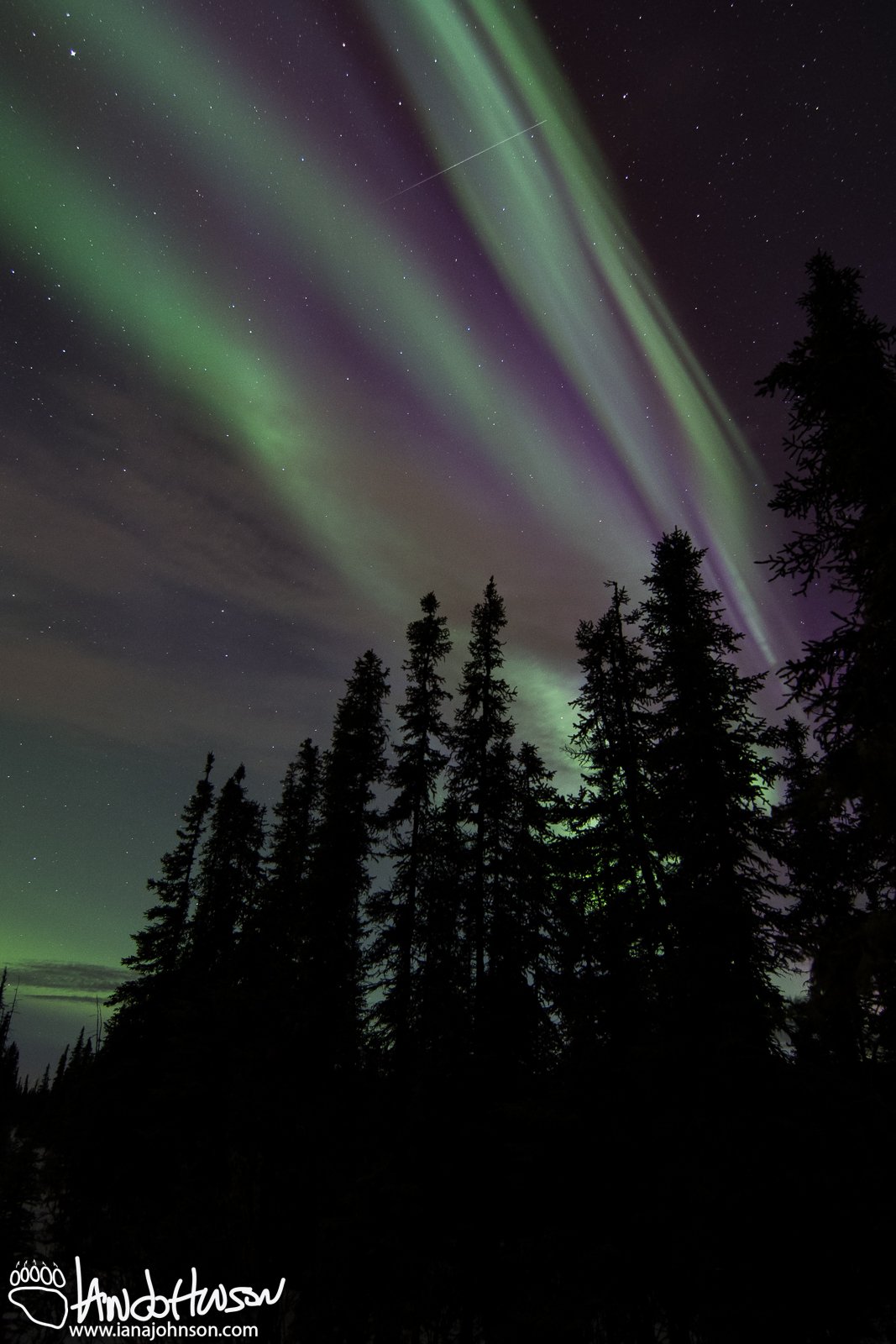 October 6th : Streaks of purple in a beautiful sun-kissed aurora display