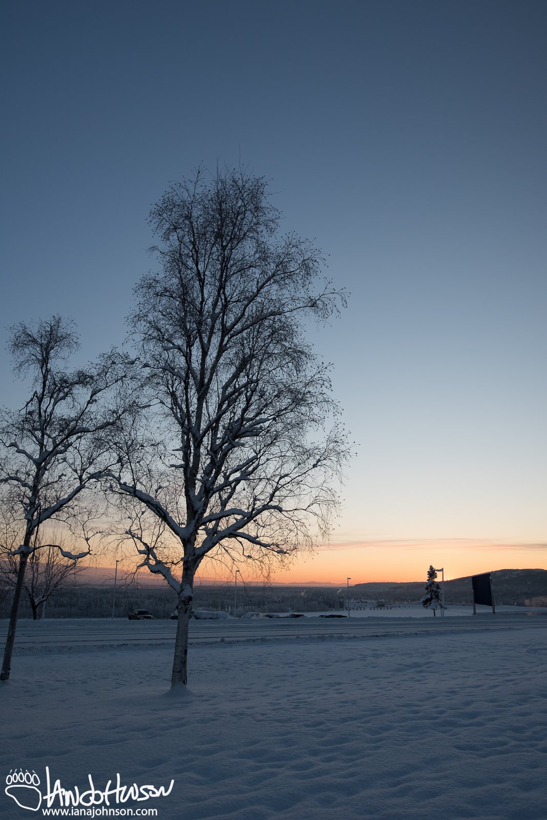 November 12th : Sunset over the University of Alaska, Fairbanks