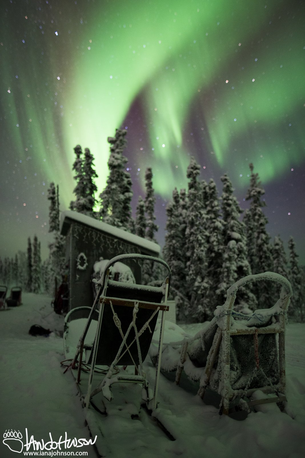 November 19th : Take a Seat for the Aurora
