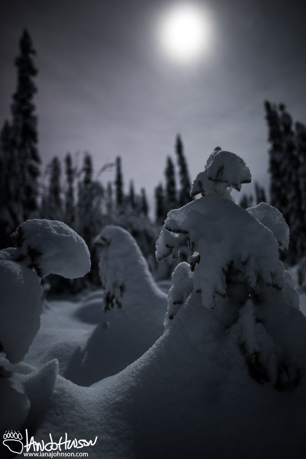 November 27th : Moonlit Wonderland