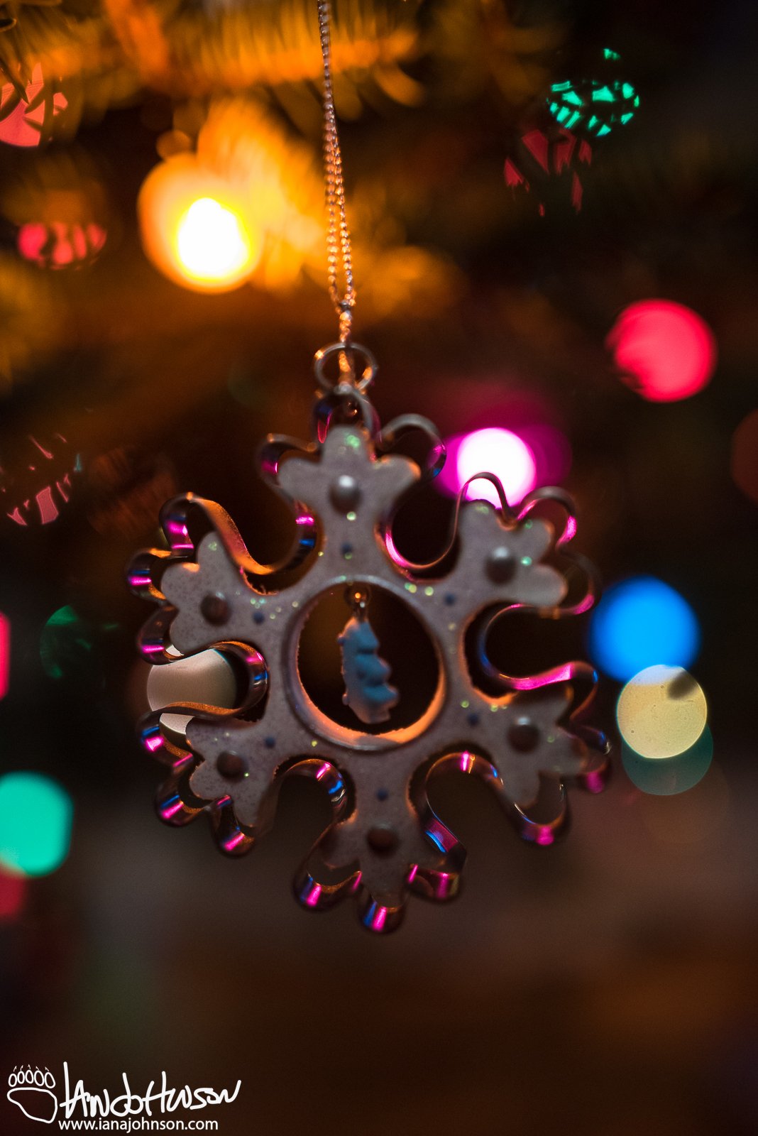 December 14th : Home for Christmas