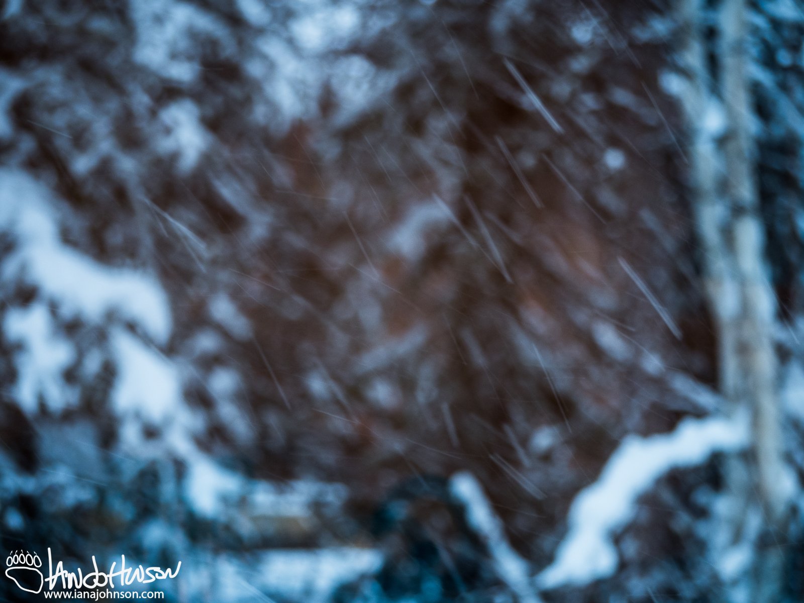 November 22nd : Snow day abstract