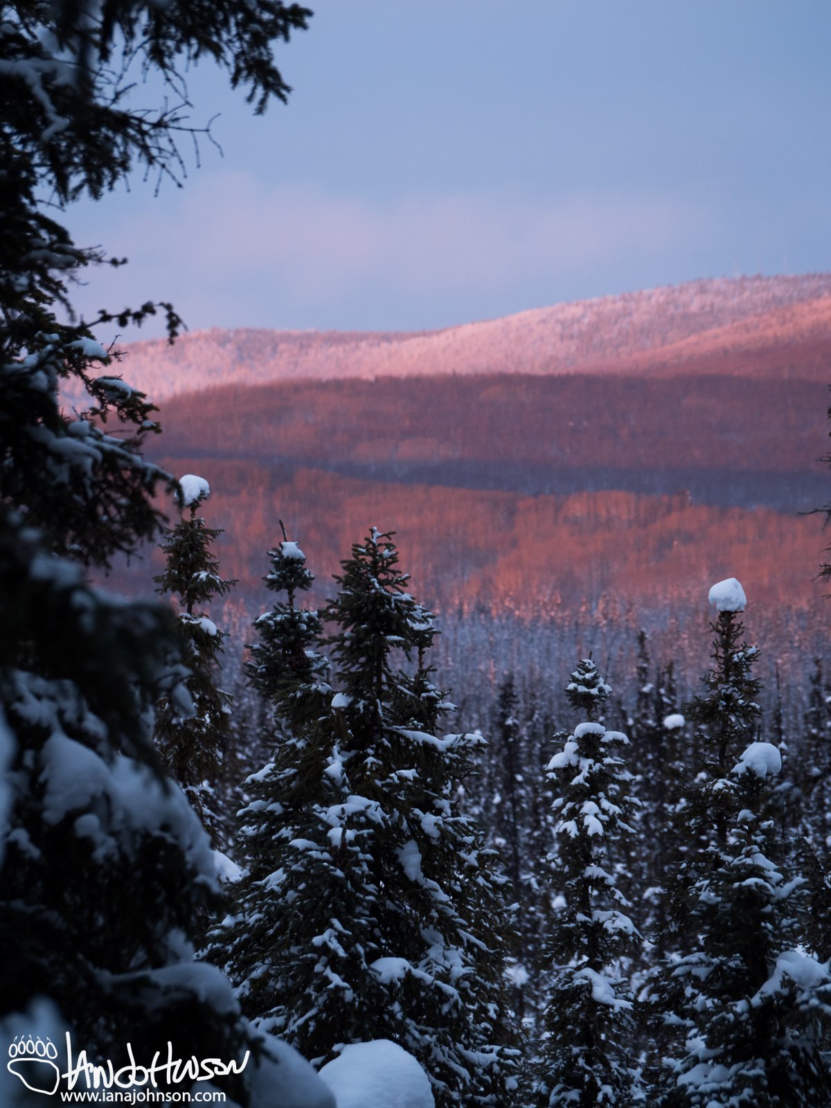 November 23rd : Pink sunrise