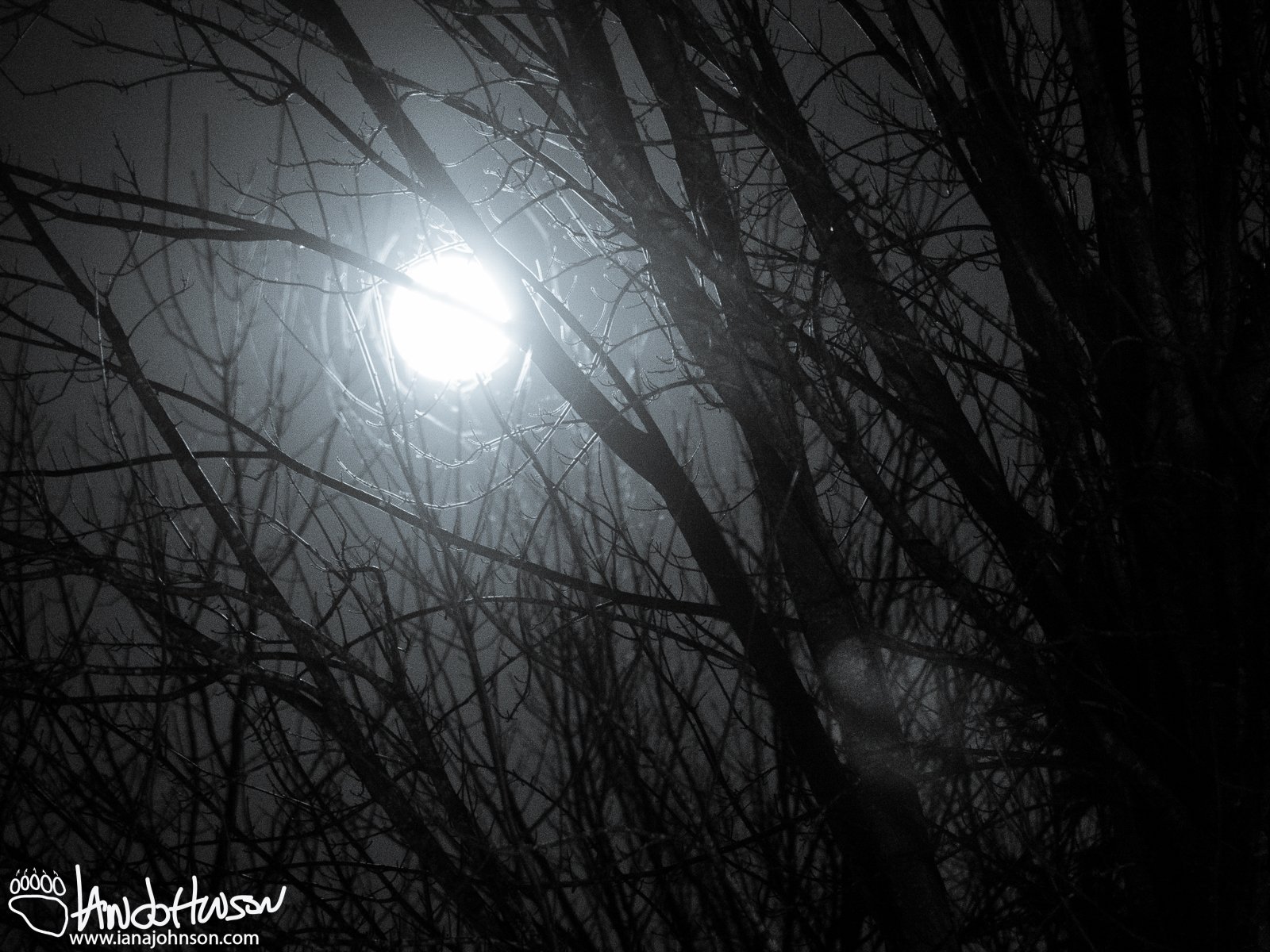 December 24th : Full Moon on Christmas Eve