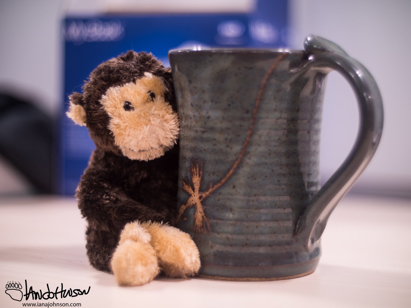 January 16th : In my office you never know what you'll find on your desk!