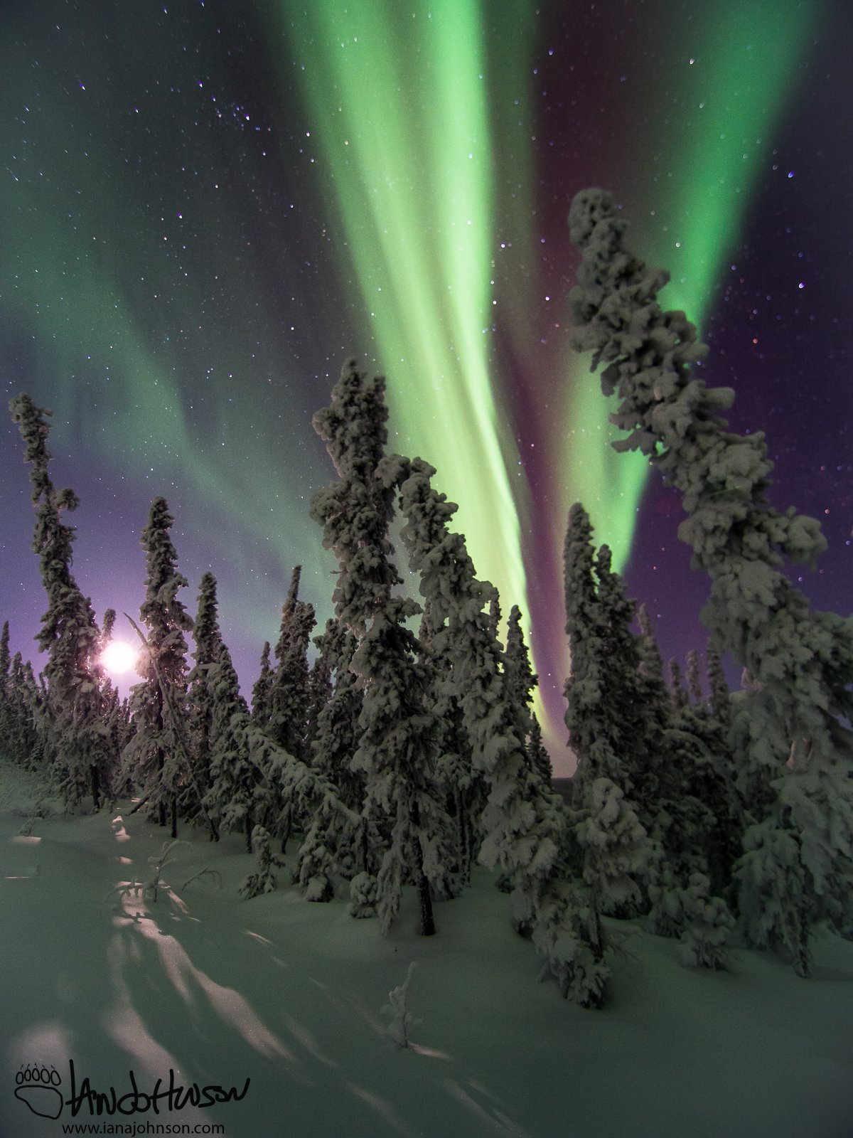 January 26th : Aurora borealis and a setting moon - images taken near -40 degrees!