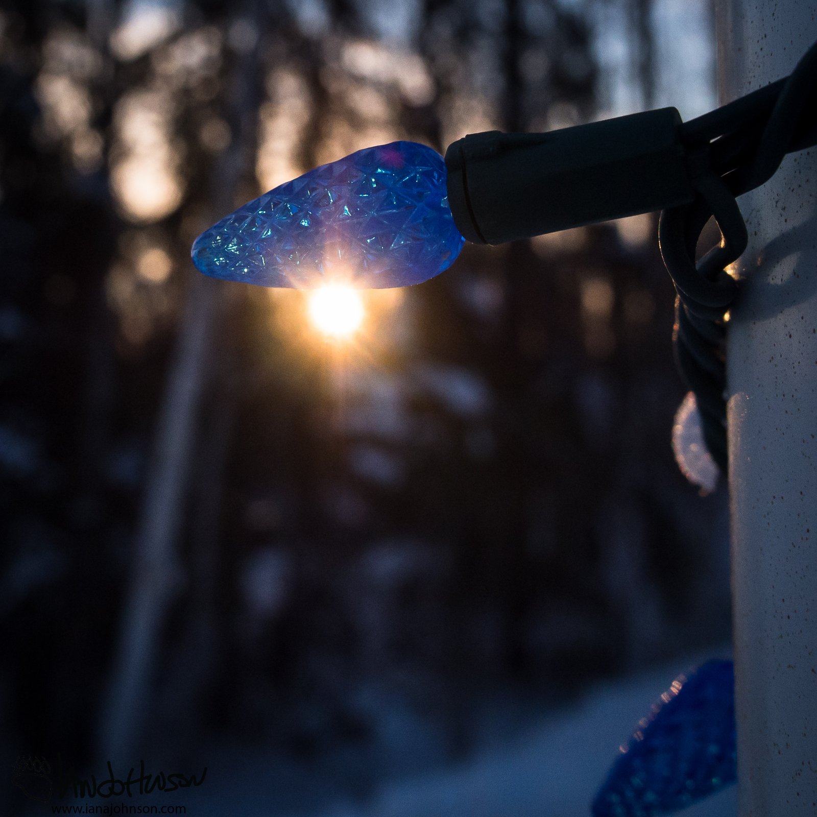 February 11th : Blue lights on campus