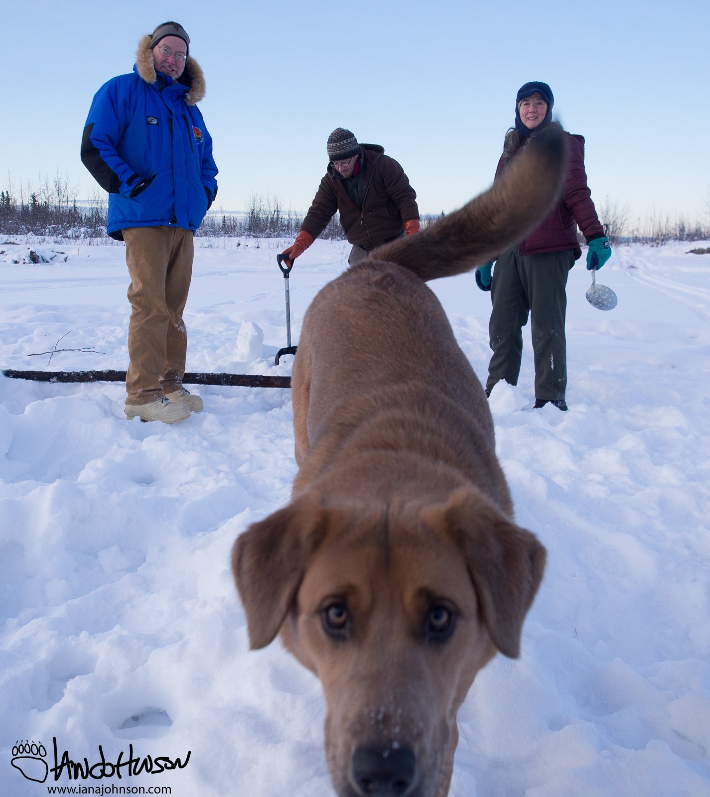 February 15th : Ice companions