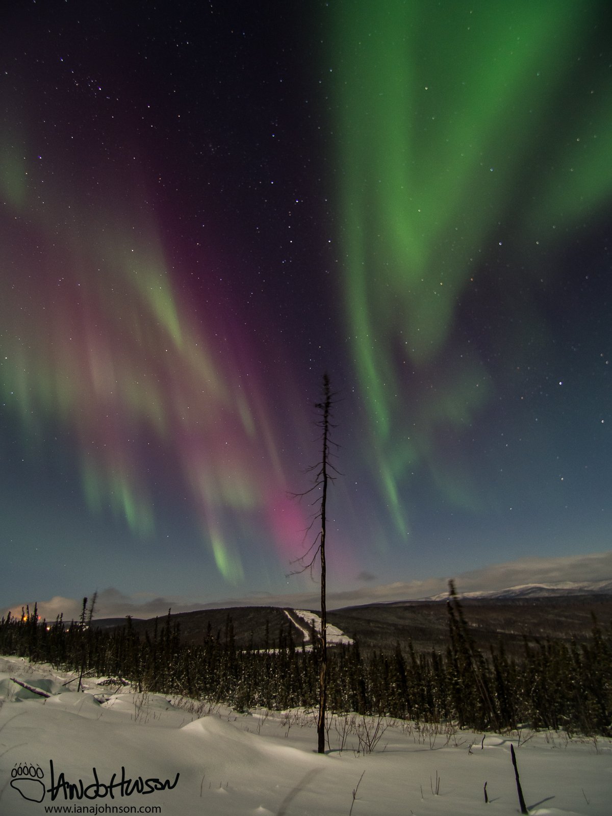 February 28th : Auroral split