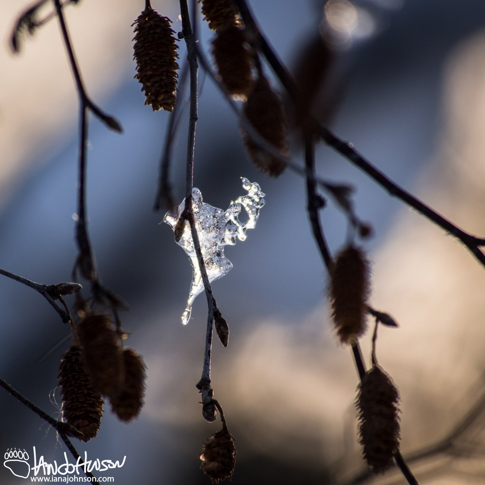 March 1st : Remnants of the melt