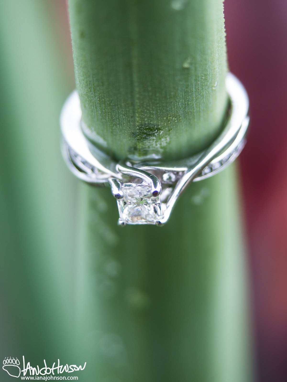 March 18th : Engagement!