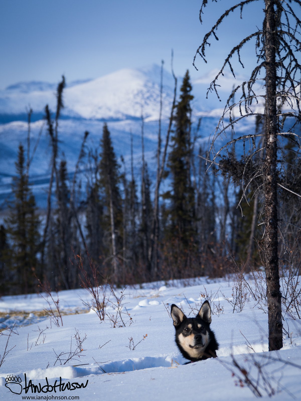 April 4th : White Mountains lookout