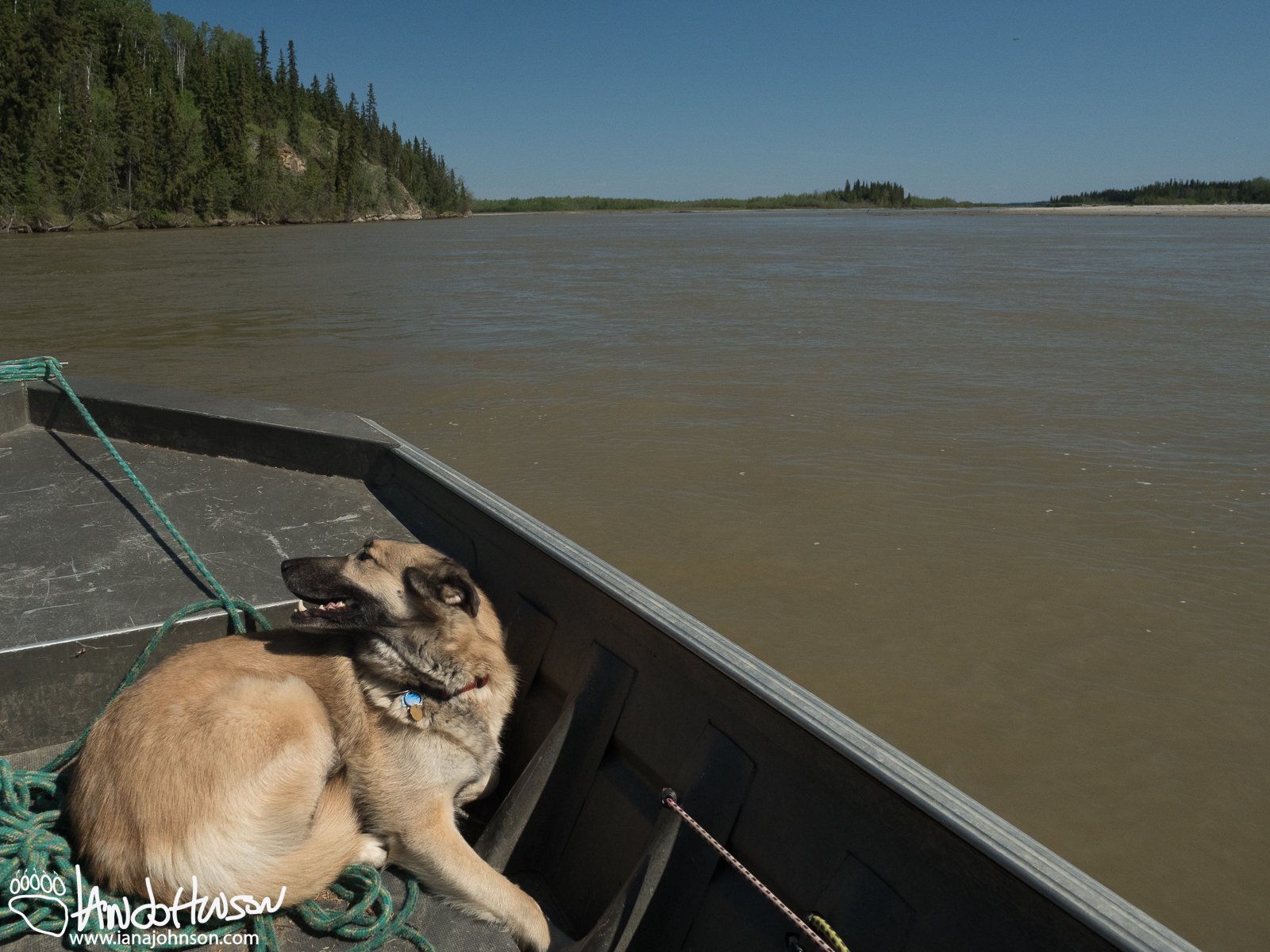 May 19th : On the Tanana