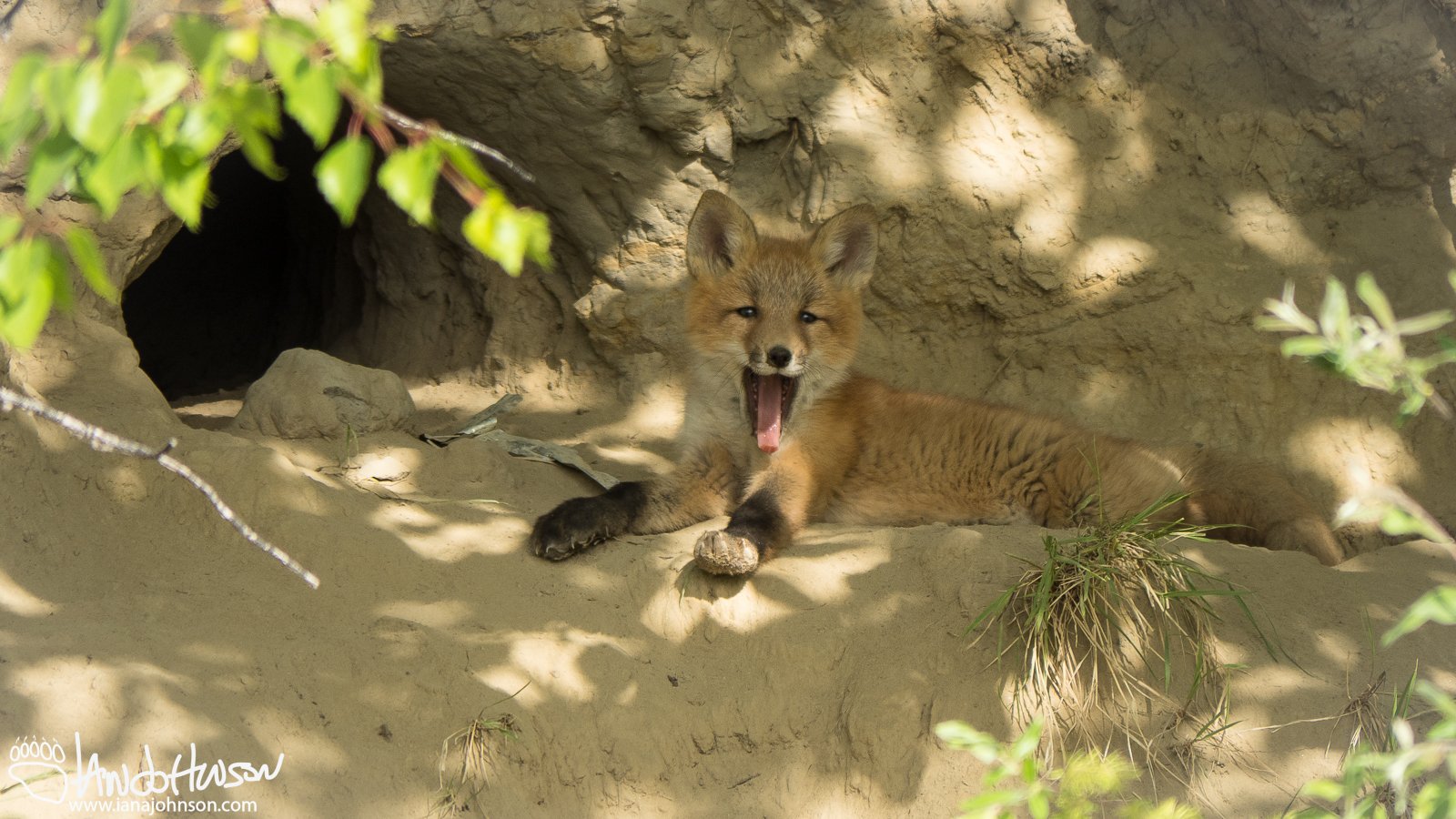 May 22nd : The Yawn