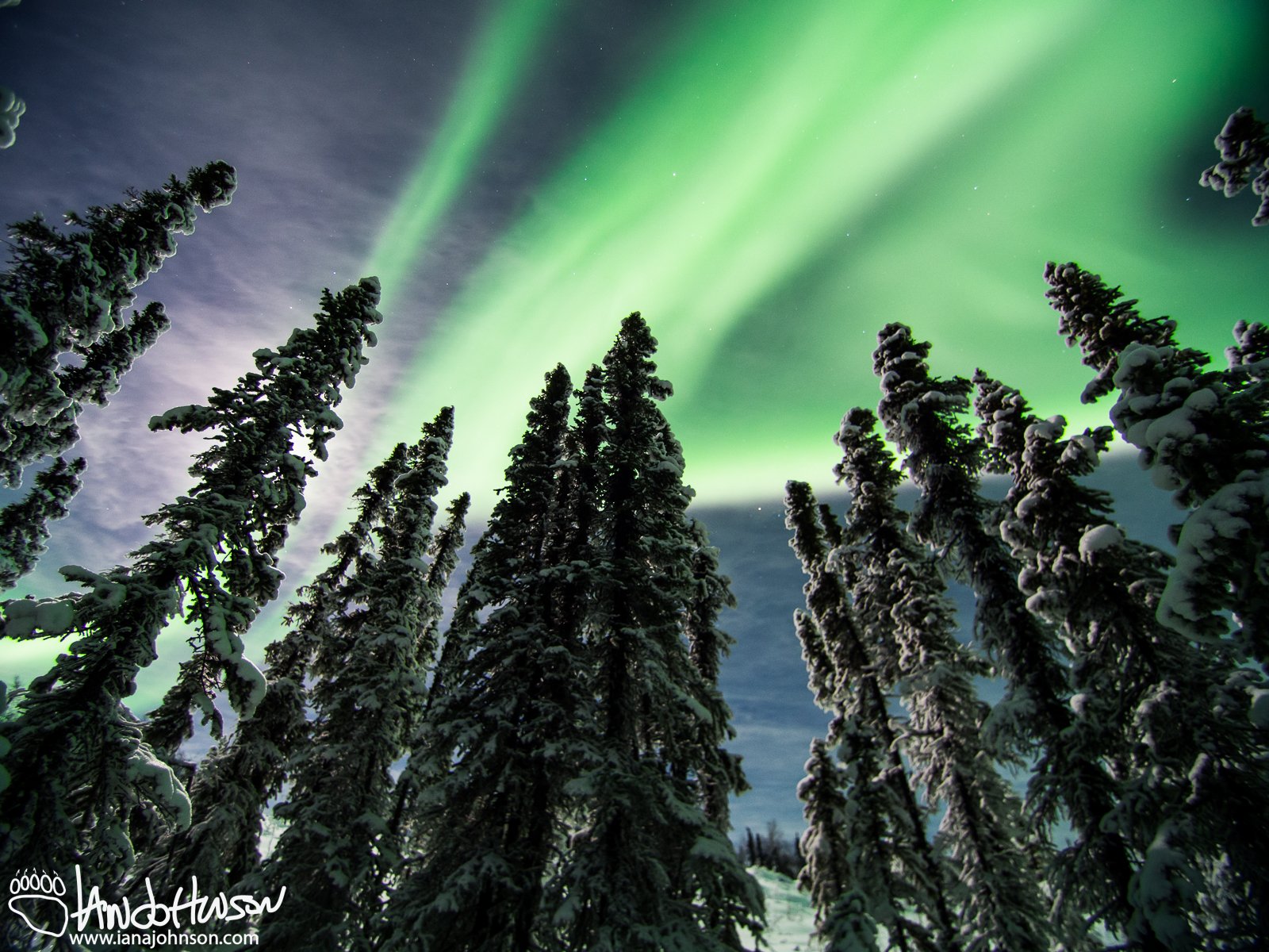 February 1st : Aurora borealis north of Fairbanks, Alaska