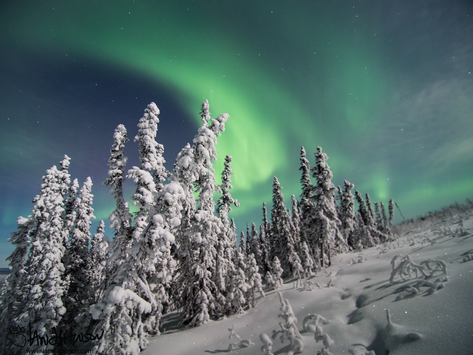 A beautiful aurora - doesn't get much more classic that this!