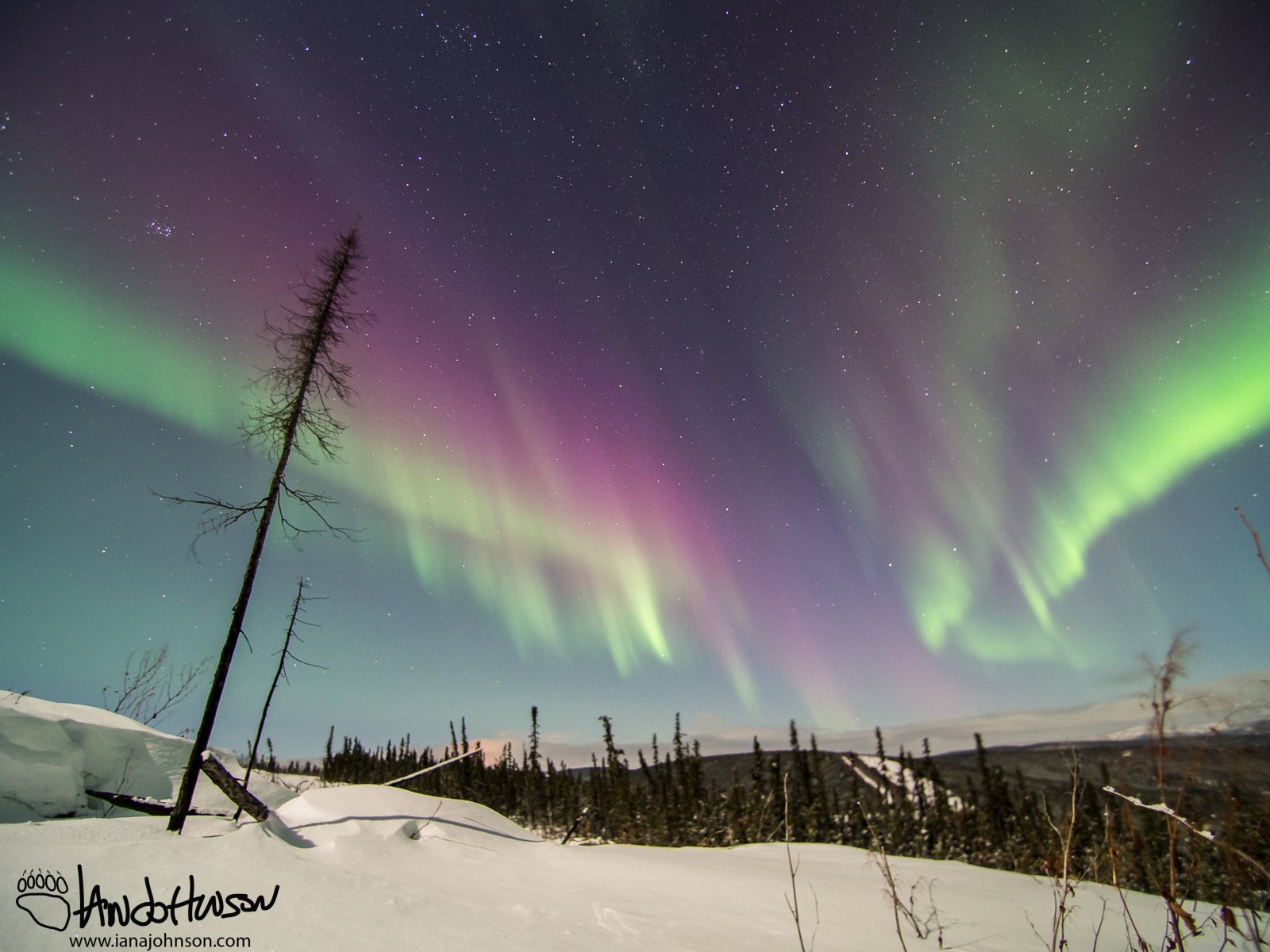 Purple Aurora - More than just red - there are some purples in the top of this aurora!