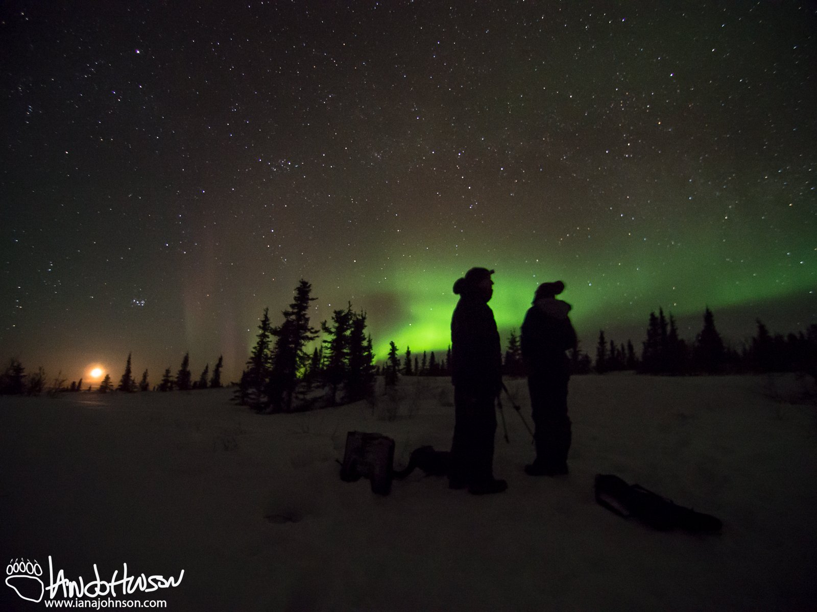 Waiting out for the aurora