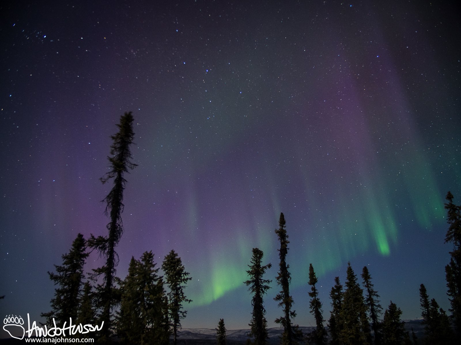 The height of this aurora is incredible!