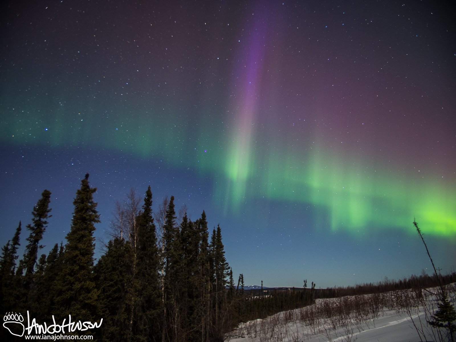 Here's a wider shot of the aurora as the purple developed