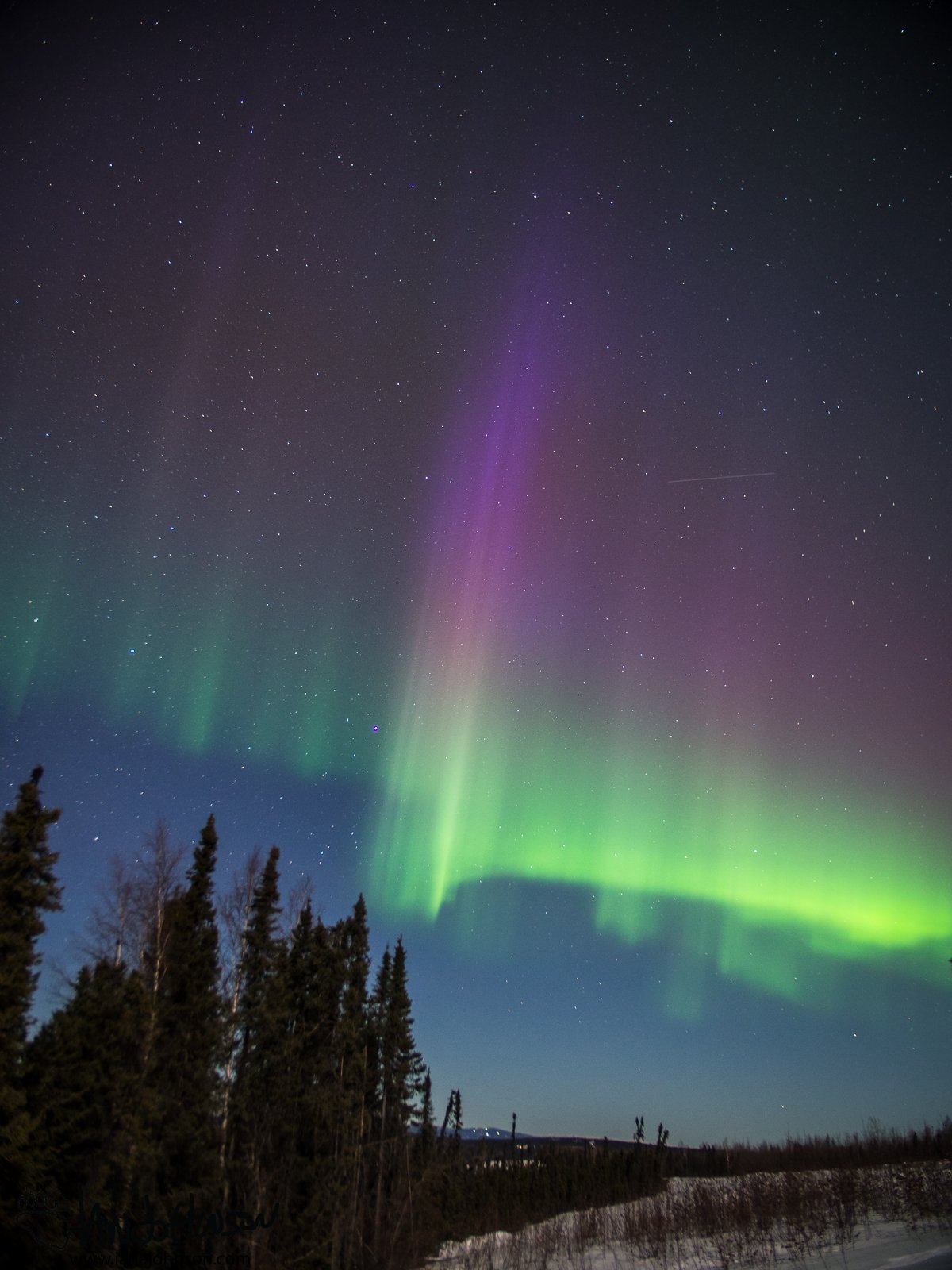 A strong pillar of Daylight Aurora