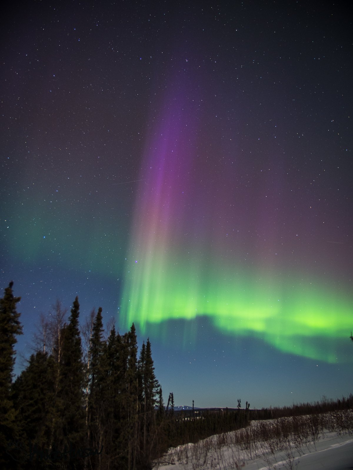 The starting purple pillar of sun-kissed Aurora