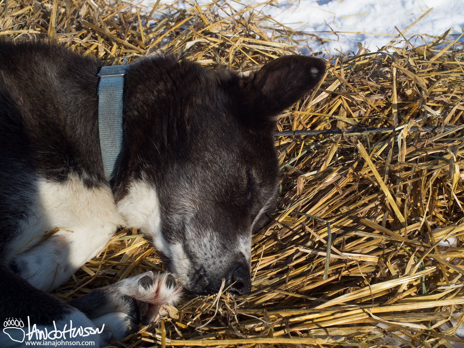 Simon : a veteran knows to get some sleep at camp!