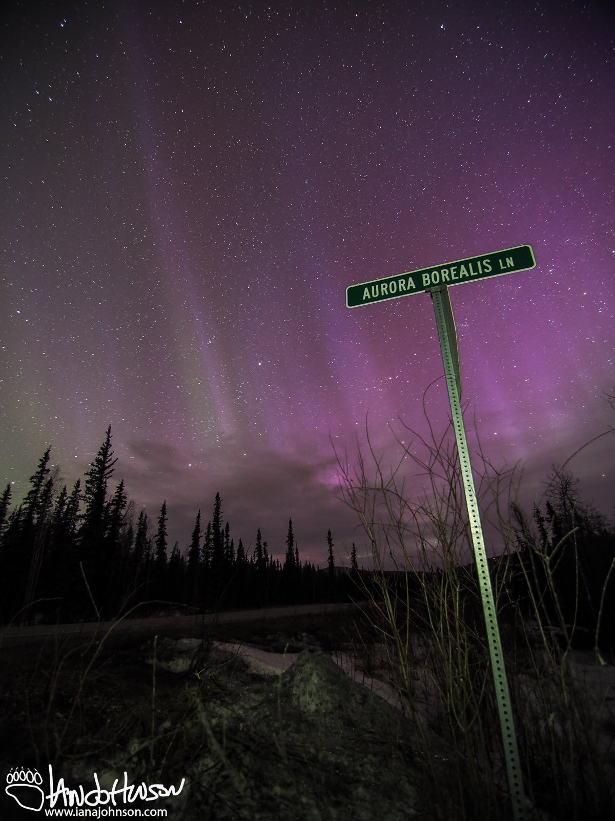 The "Aurora Borealis Lane" sign is an infamous Fairbanks sign in the Goldstream Valley. Many aurora pictures have been taken over it - now I guess I have mine!