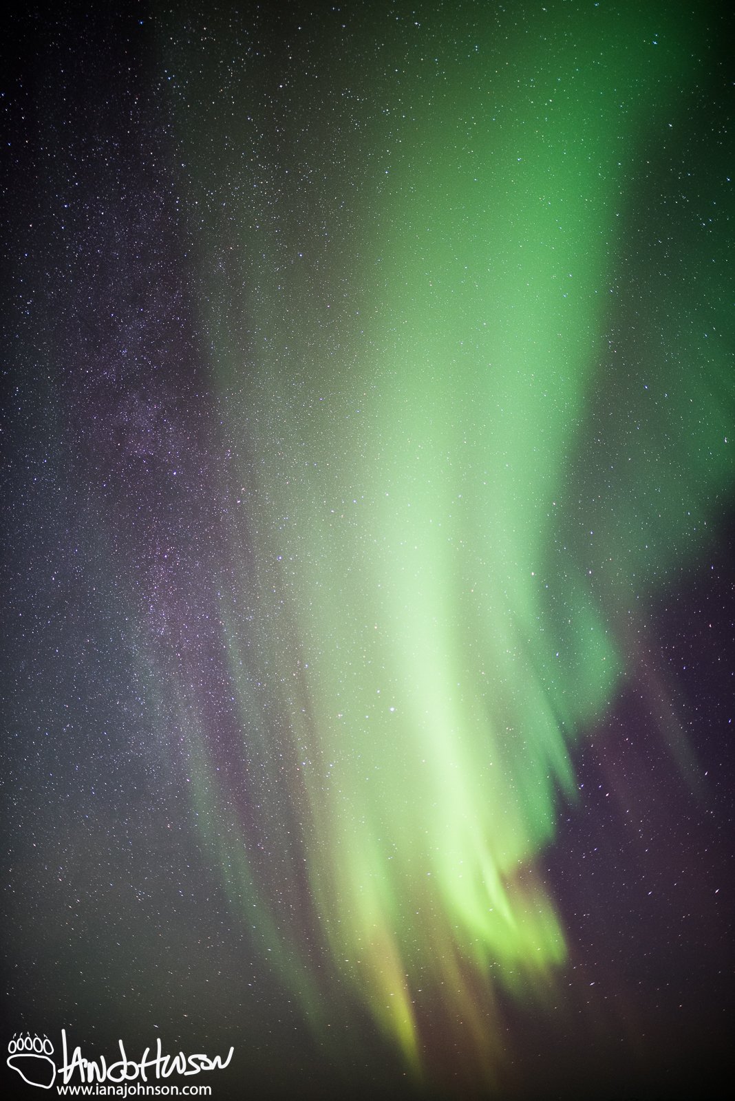 I never leave out the horizon in my shots, but did in this one for some reason. And you know what - I kind of like it! The milky way is showing up alongside the aurora in this shot.