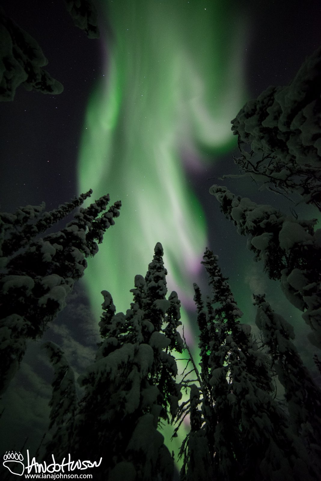 Aurora Waves