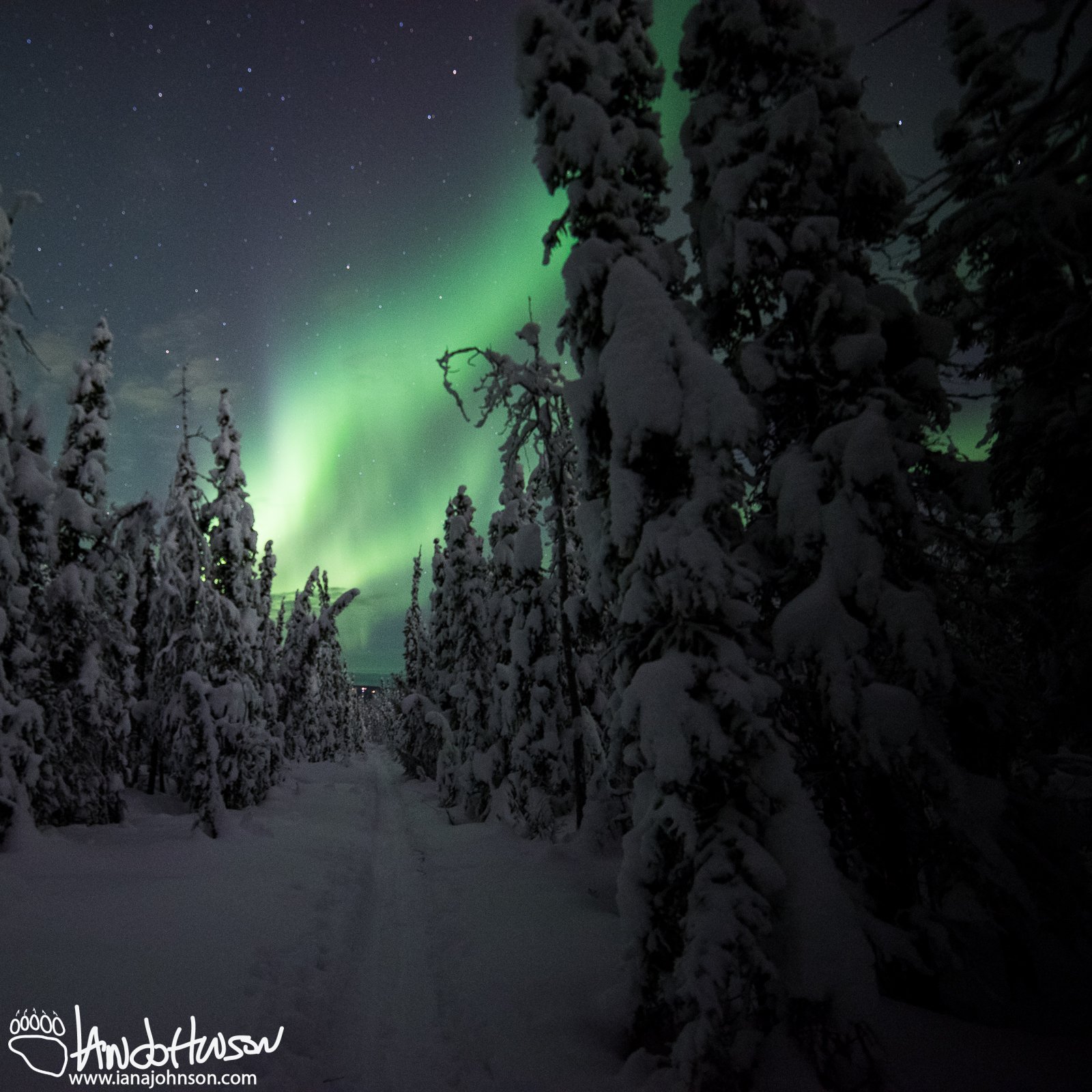 Ski Trail Aurora