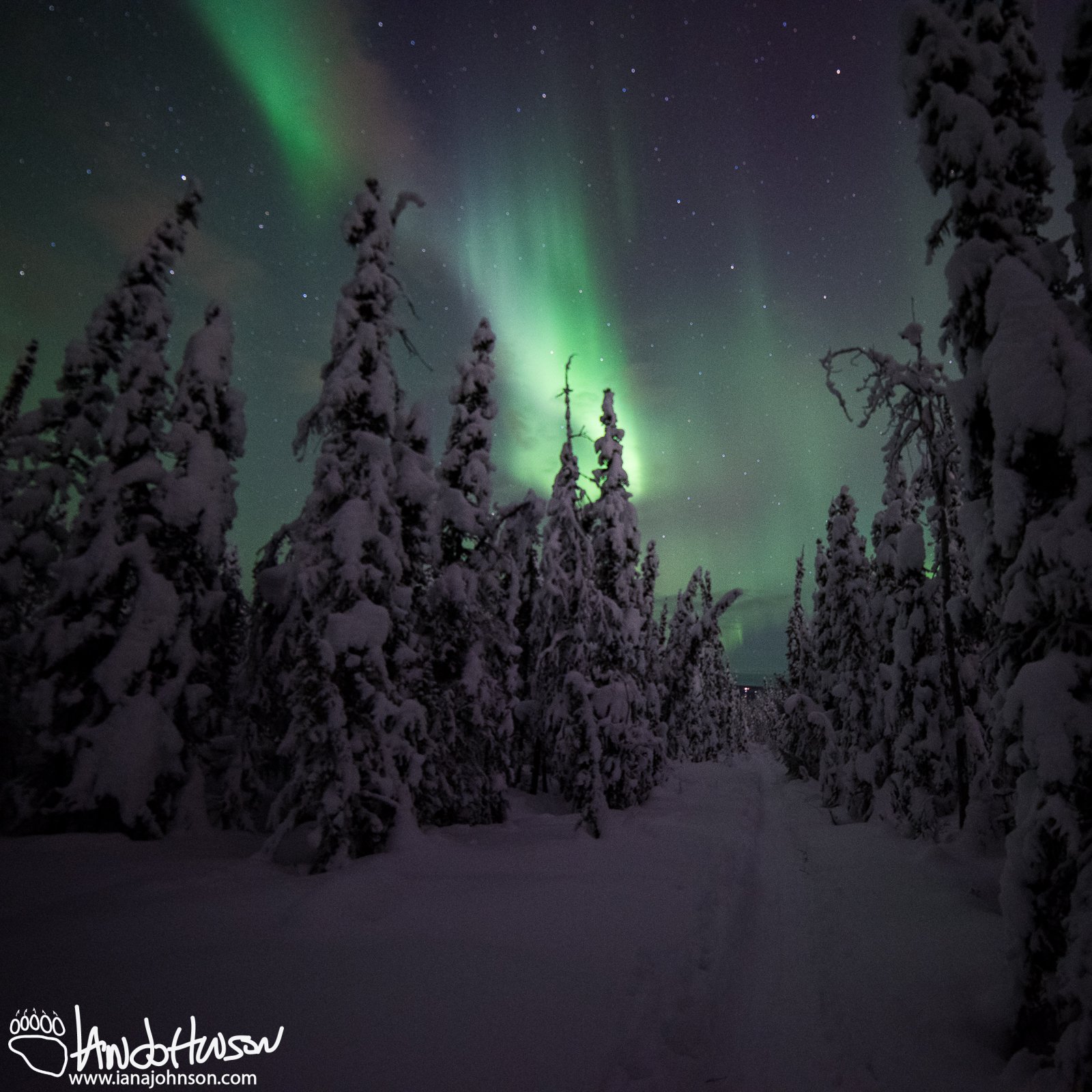 Blues and Banded Aurora