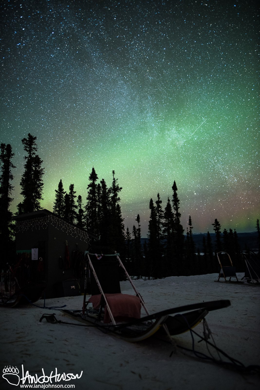 A fusion of the northern lights and the Milky Way Galaxy at Black Spruce Dog Sledding.