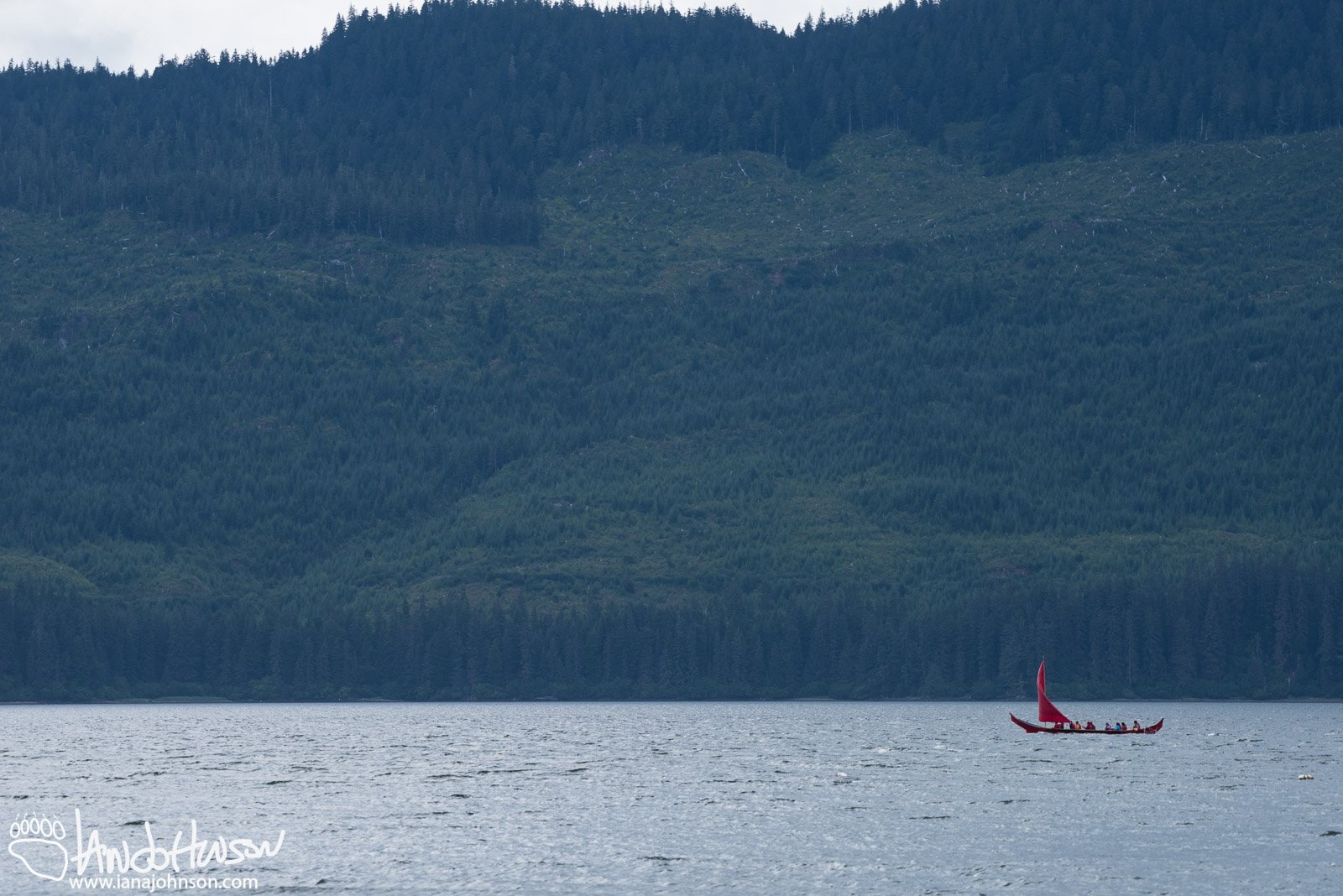 Canoe, DuUnder full sail the canoes cruised up Port Frederick on a training run. gout, Hoonah, Alaska, Tribal House Dedication